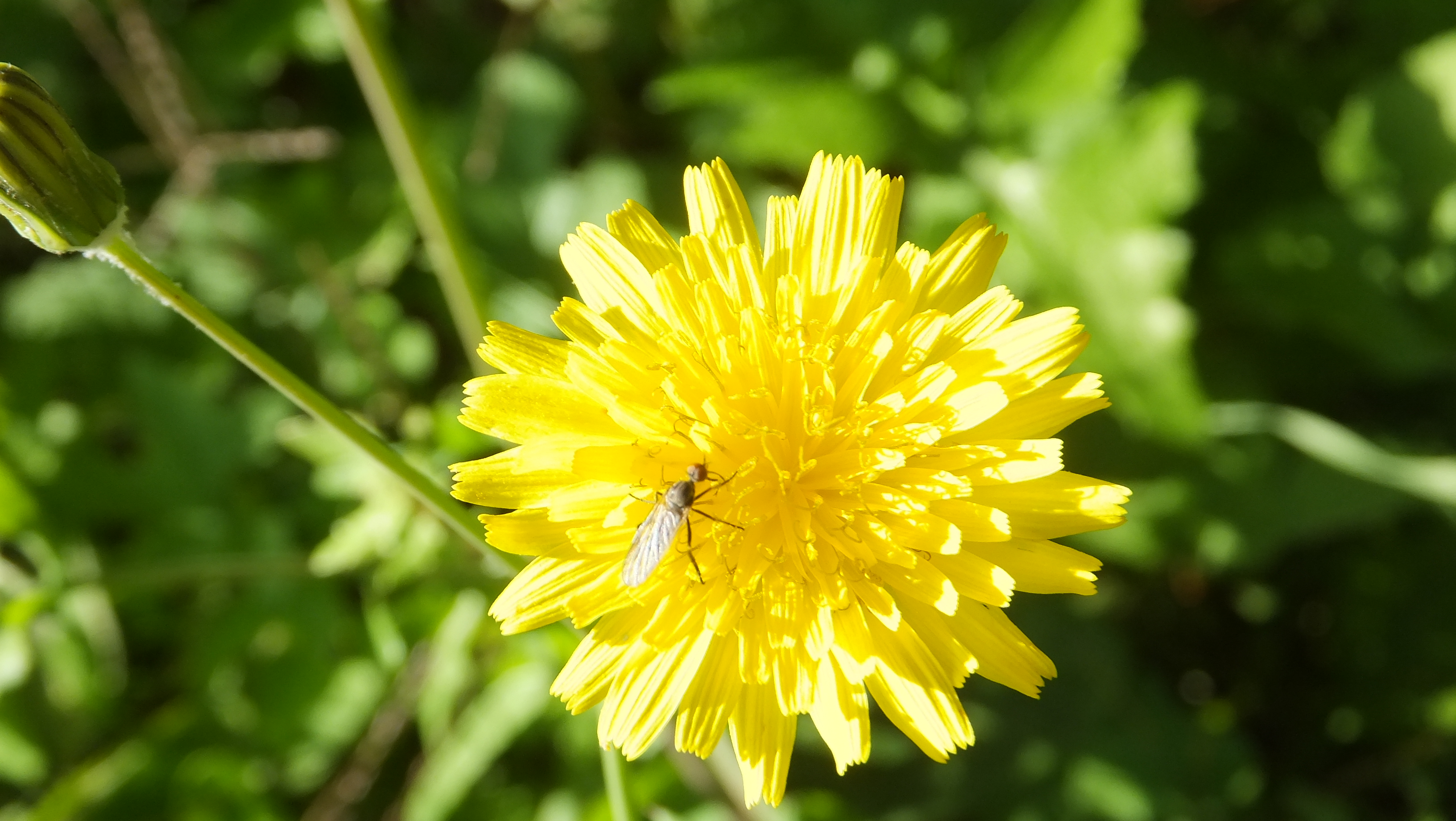 "La felicidad está en las pequeñas cosas." #Santanyi