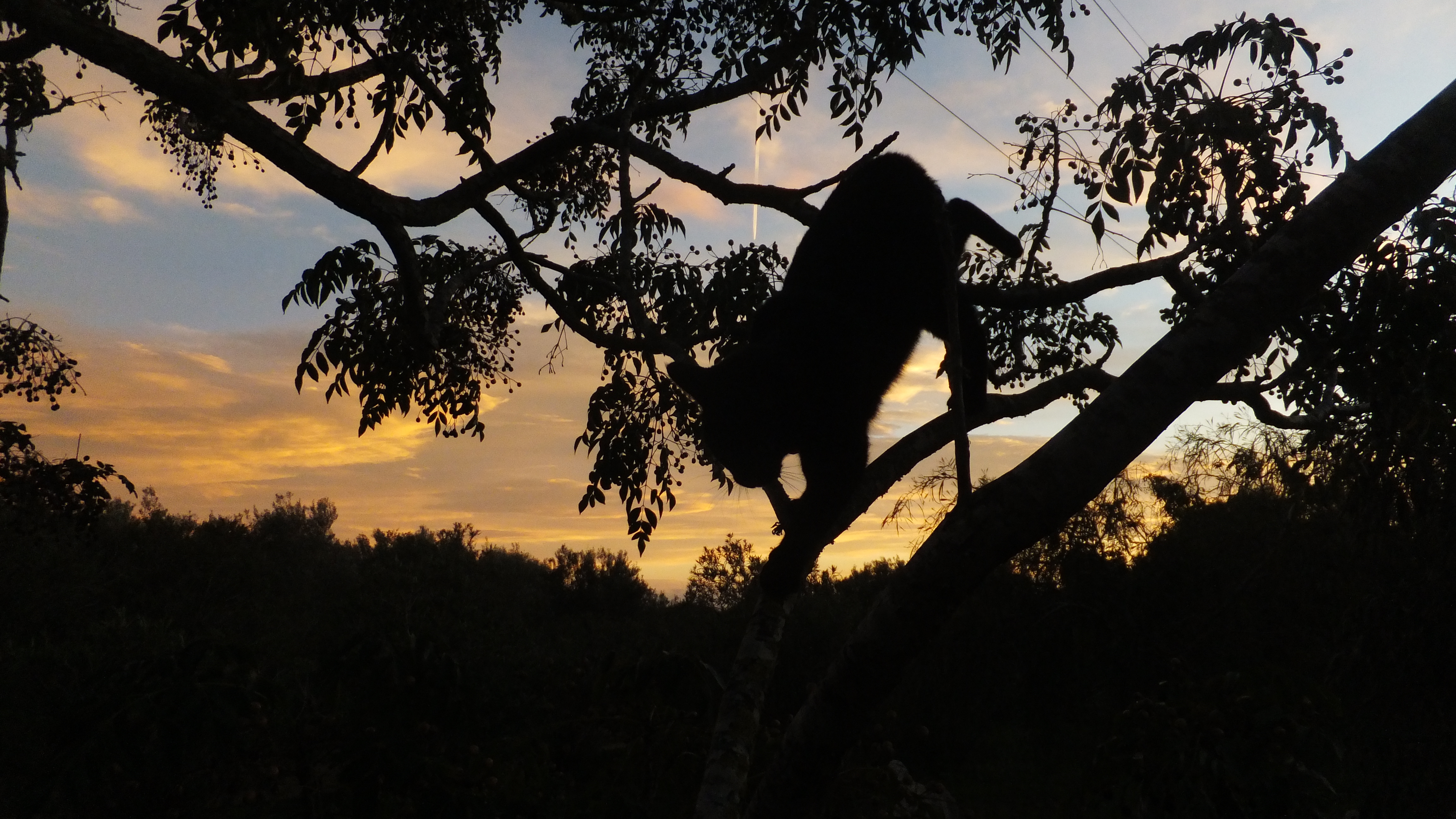 "La actitud lo es todo." #CalaSantanyi