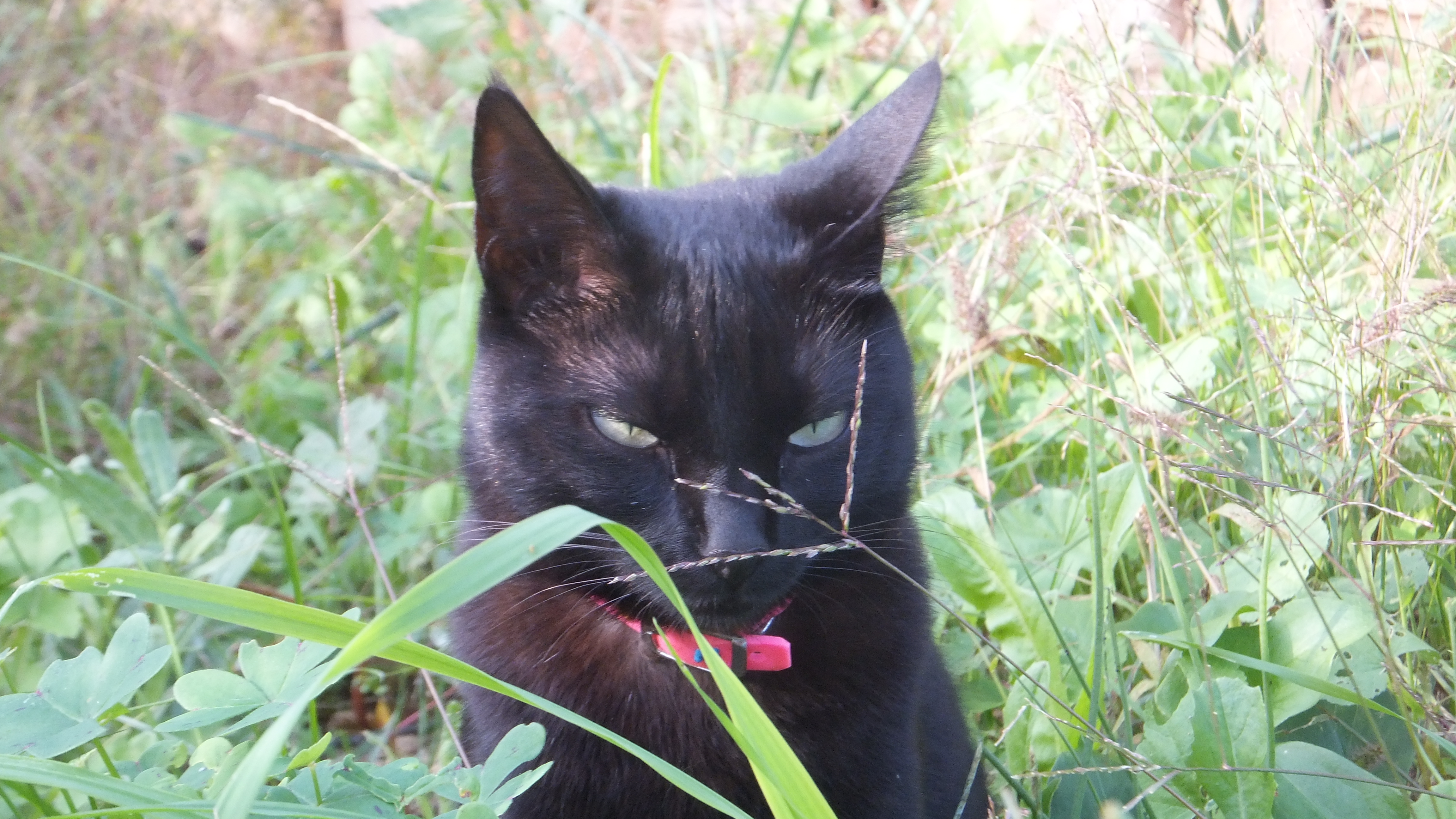 "Sonríe, es gratis." #Mallorca