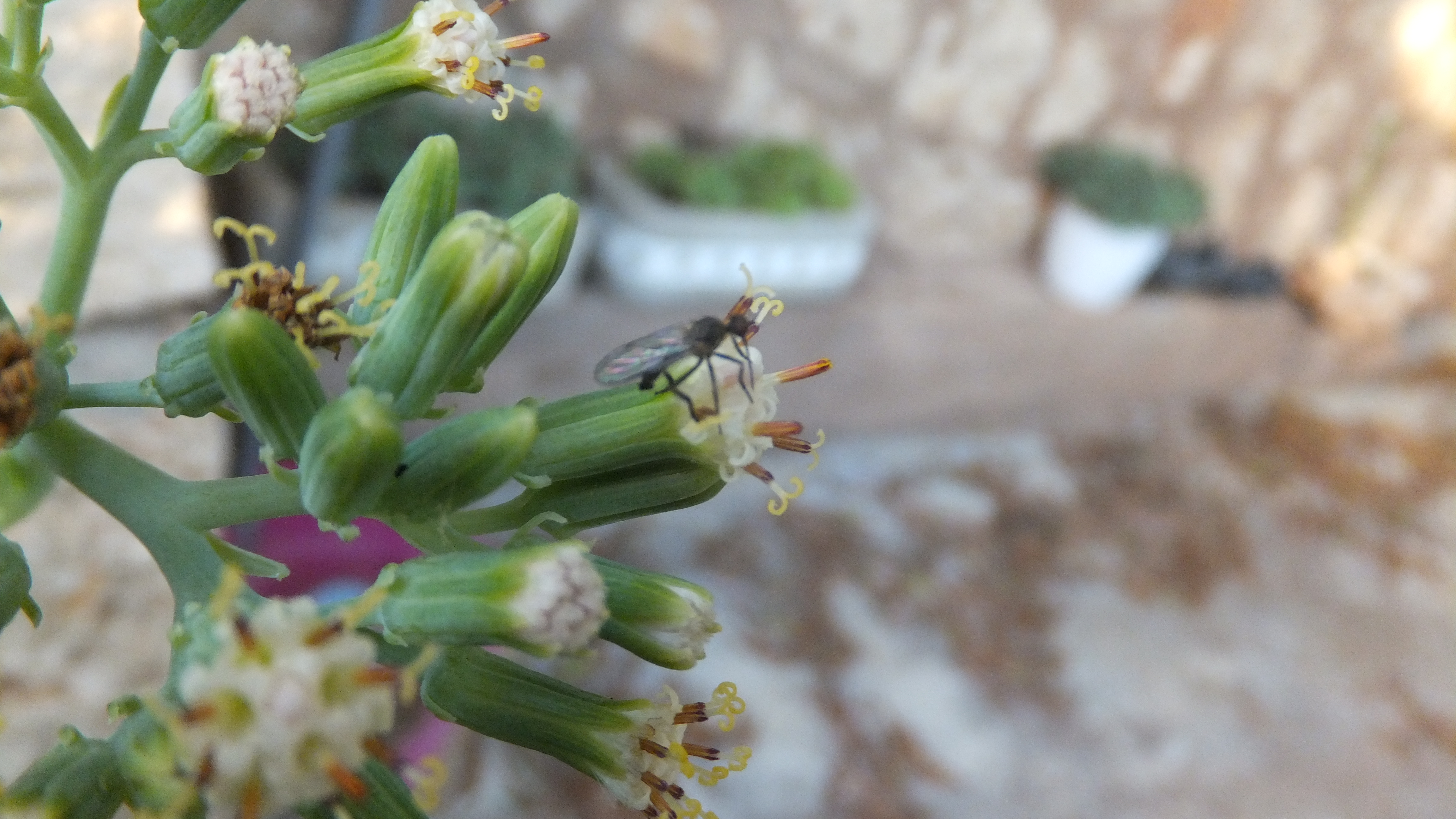"Rodéate de personas que te inspiren y te eleven". #CalaFigera