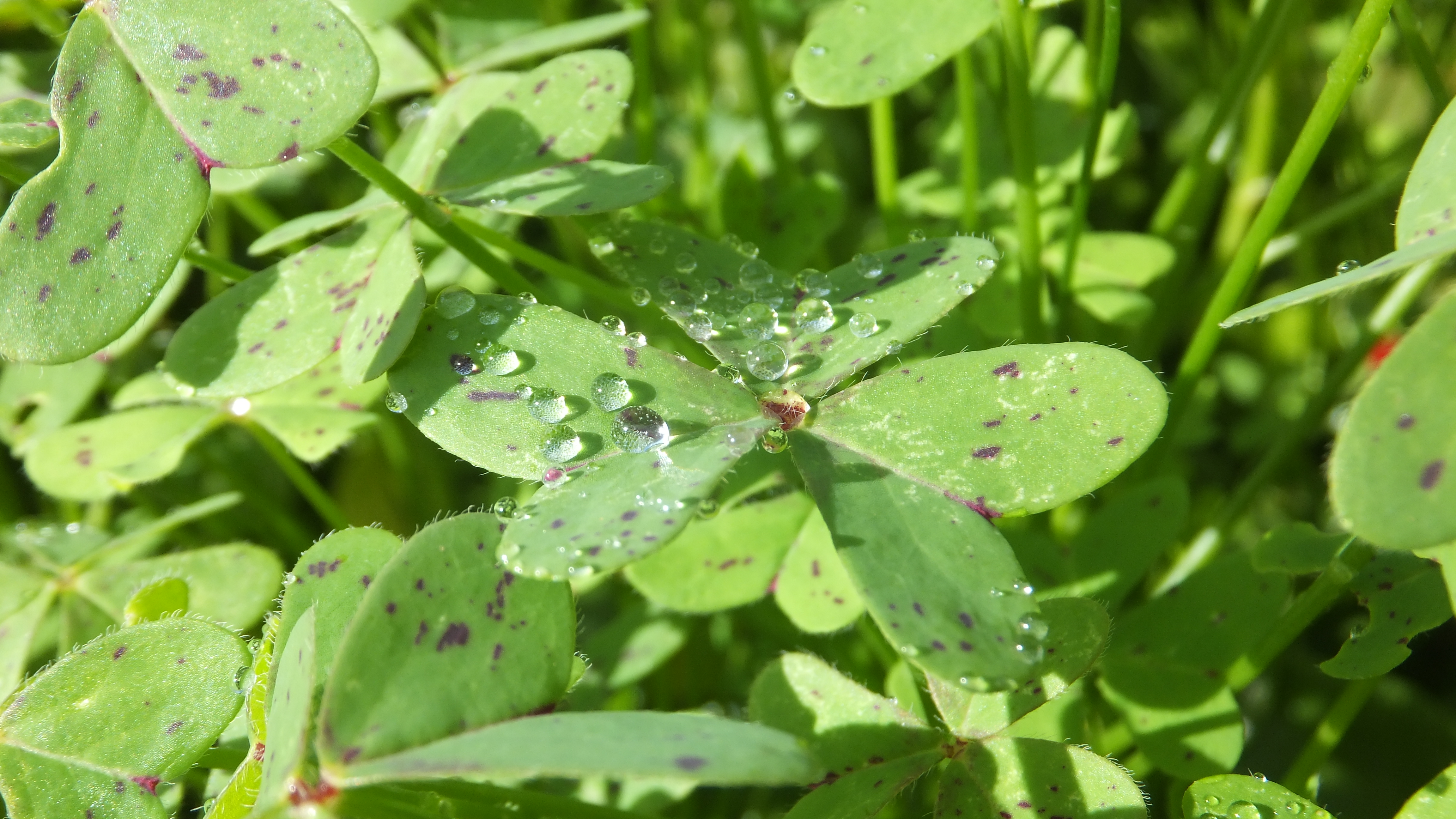 "No esperes a que todo sea perfecto. Empieza ahora y hazlo posible." #CaloEsMoro