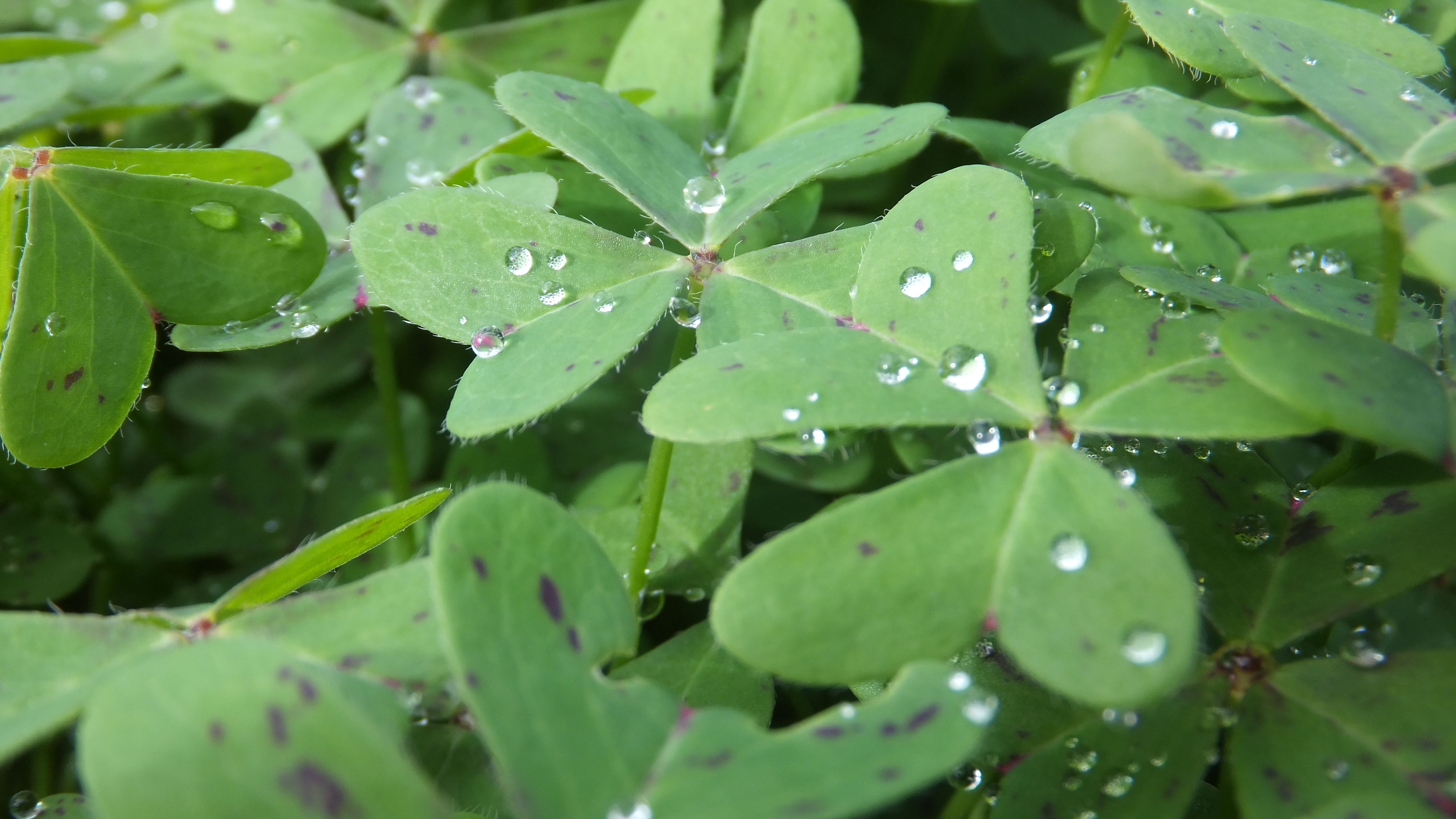 "Que tus sueños sean más grandes que tus miedos". #Mallorca