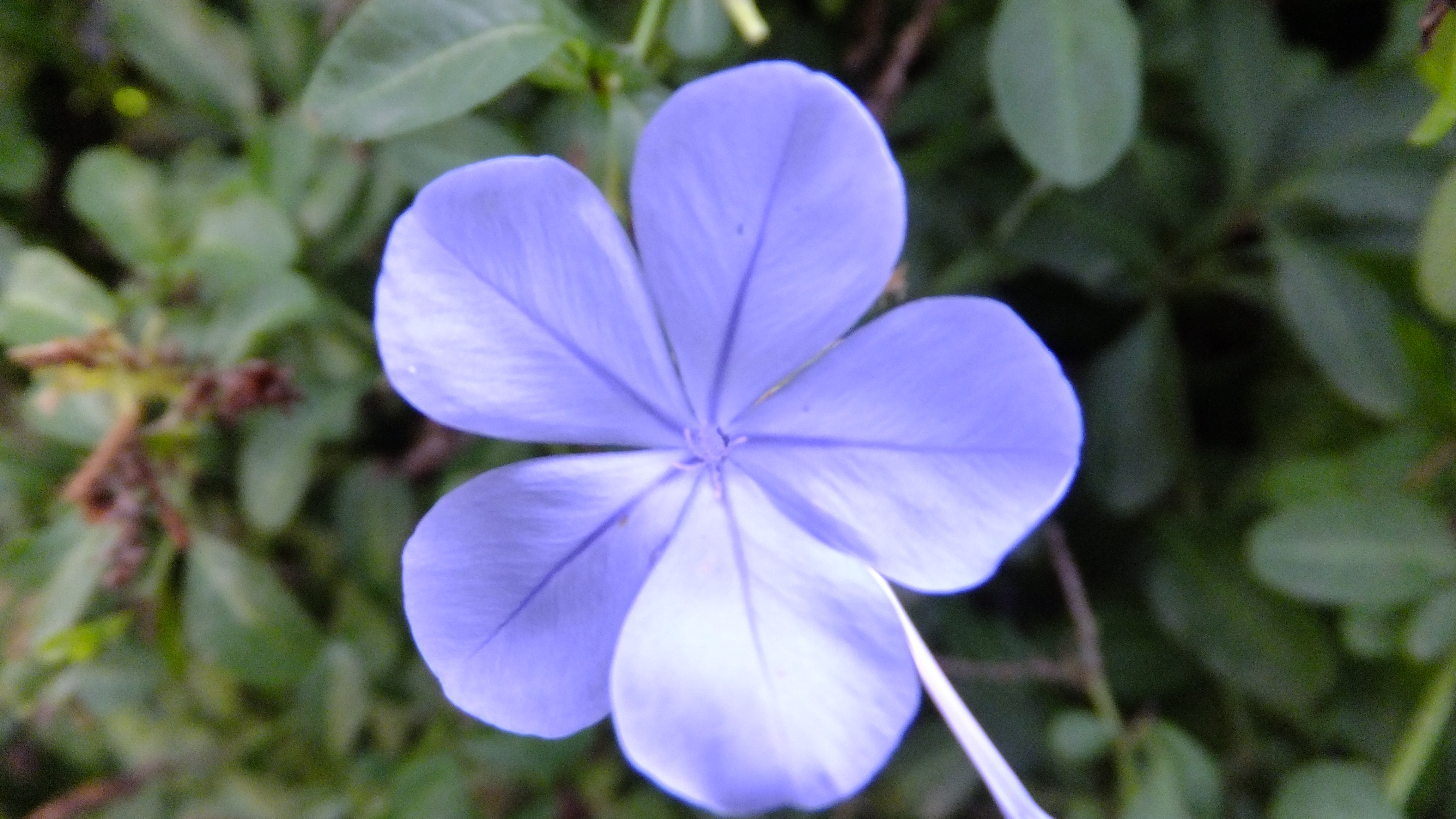 "La felicidad es una elección." #Mallorca