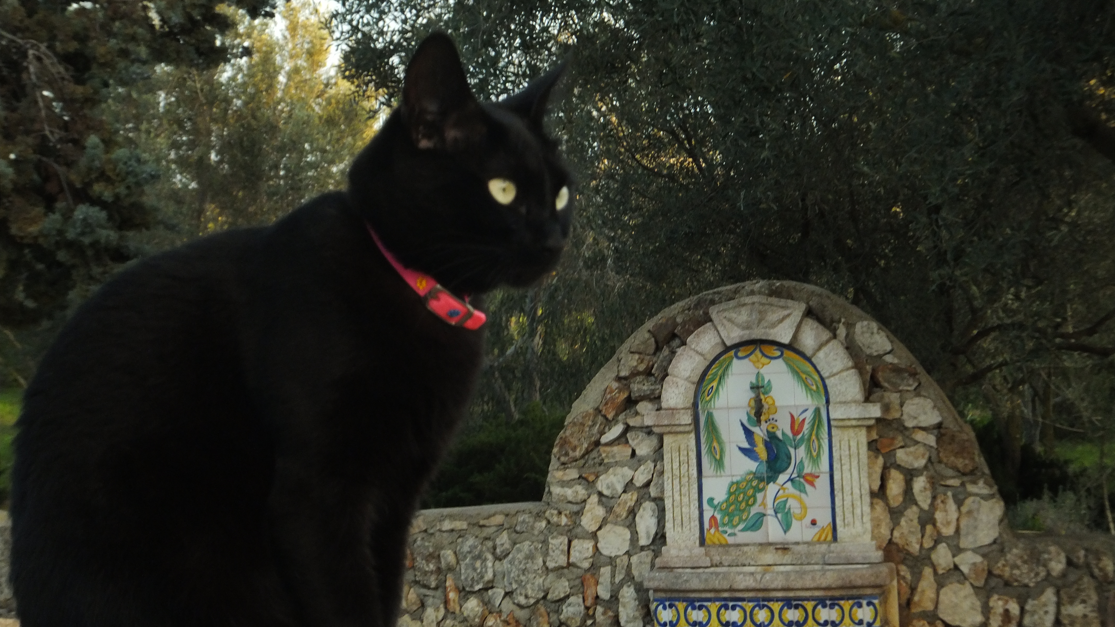 "Hazlo, y si te da miedo, hazlo con miedo". #CalaFigera