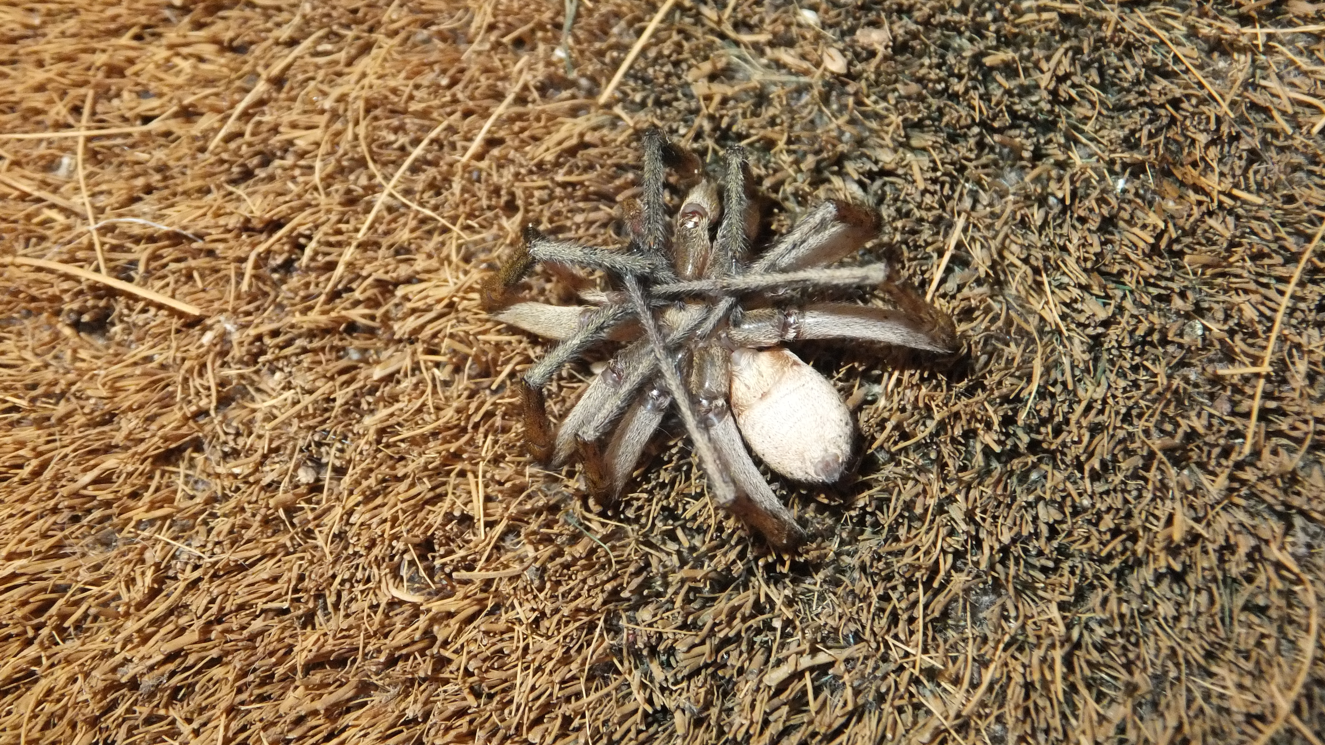 "Cada día es una nueva oportunidad para mejorar y crecer." #CaloEsMoro