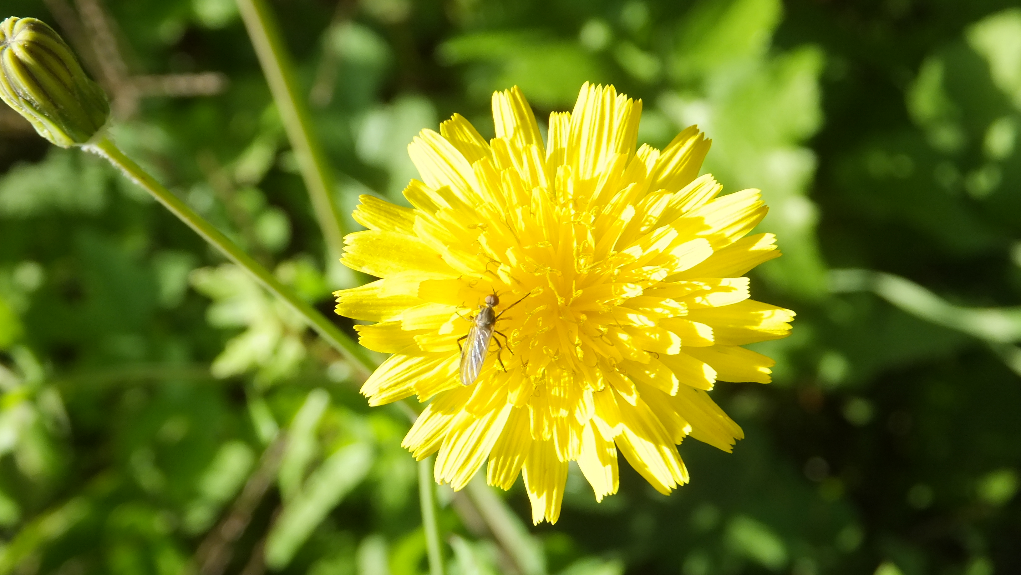 "No esperes a que todo sea perfecto. Empieza ahora y hazlo posible." #CalaFigera