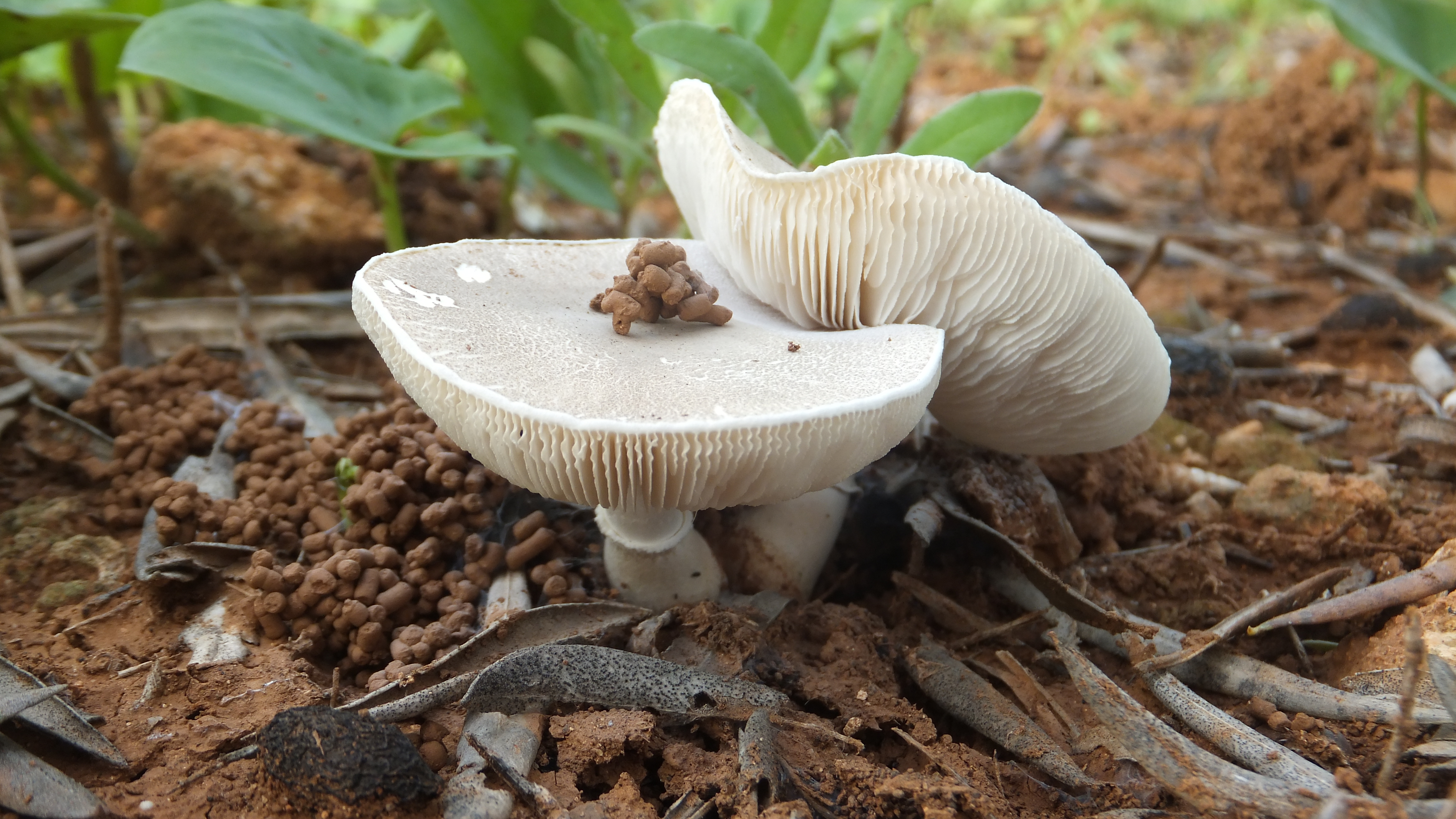"La mejor manera de predecir el futuro es crearlo". #Santanyi