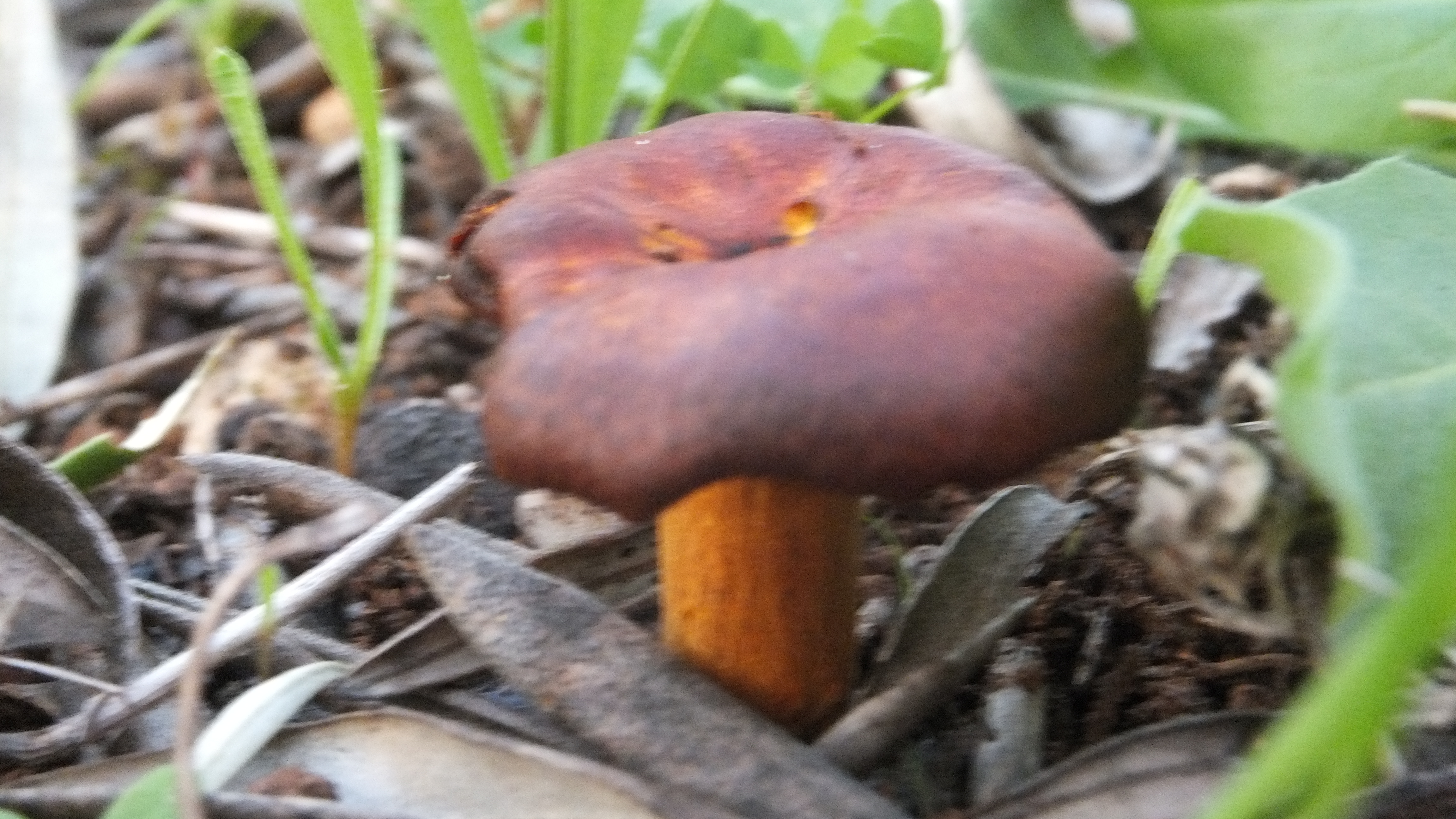 "Estar contigo o no estar contigo es la medida de mi tiempo." #CalaFigera