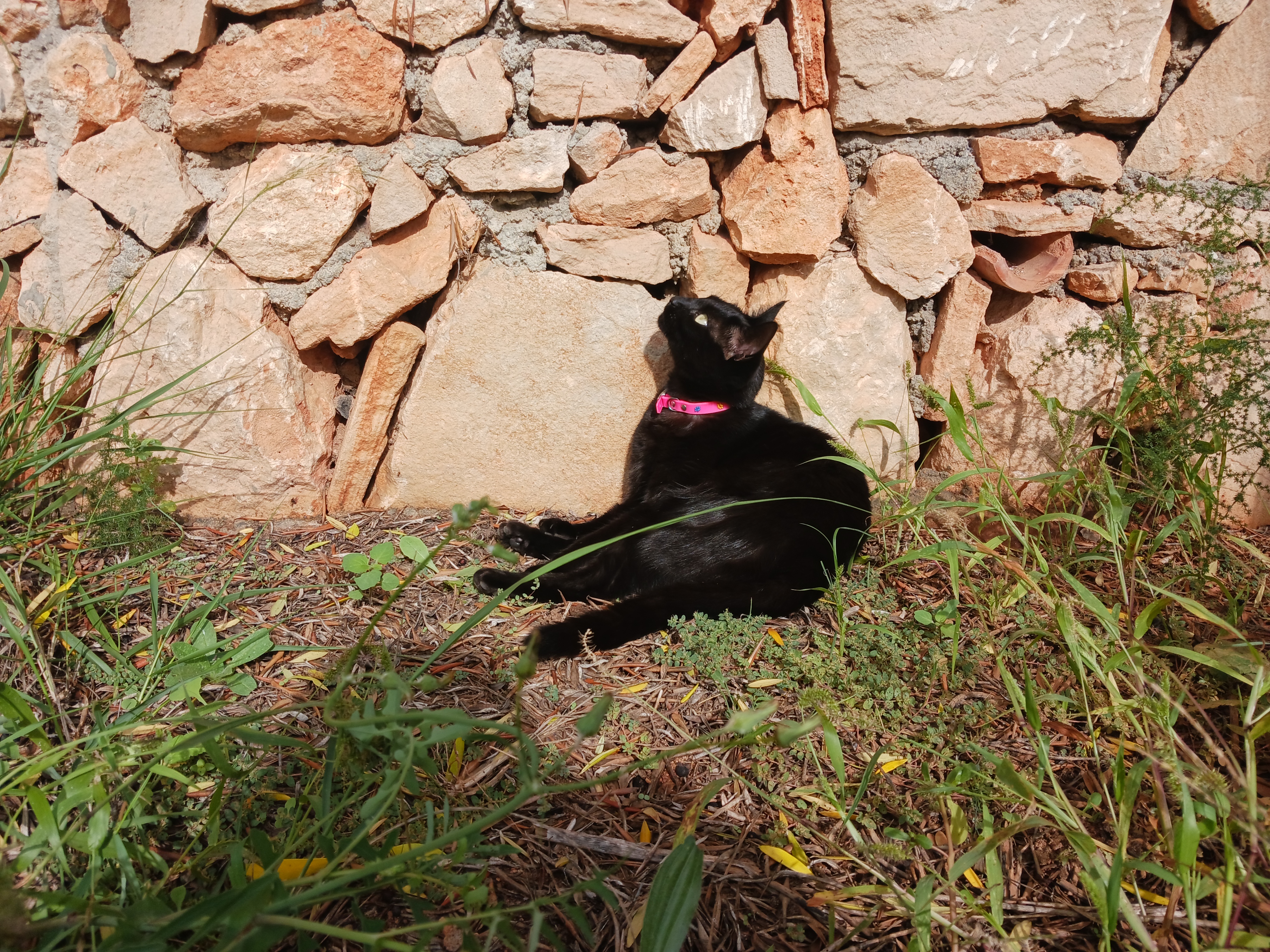 "Sonríe, es gratis." #Mallorca