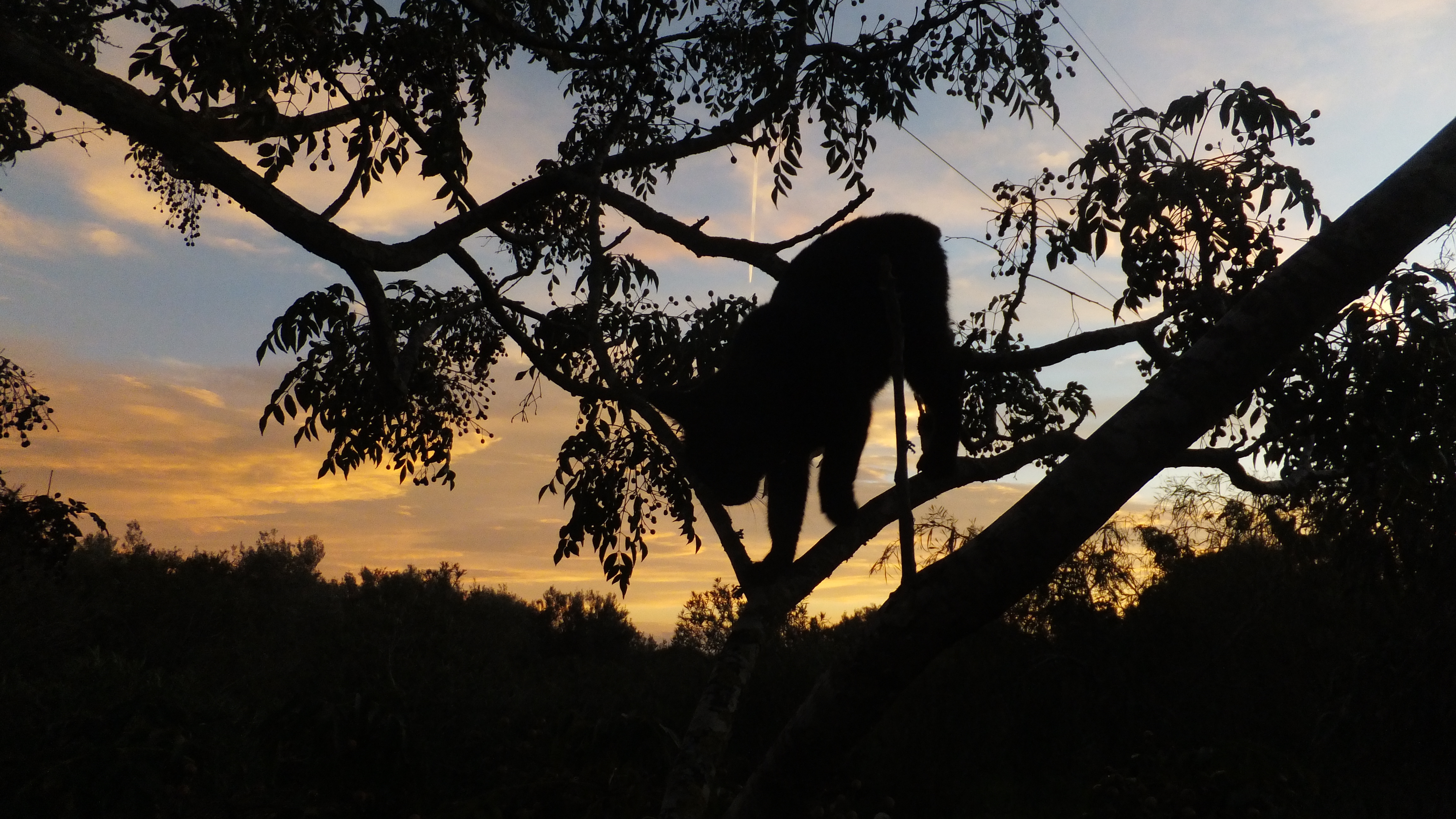 "La perseverancia es lo que convierte los fracasos en triunfos", QuillBot #Santanyi