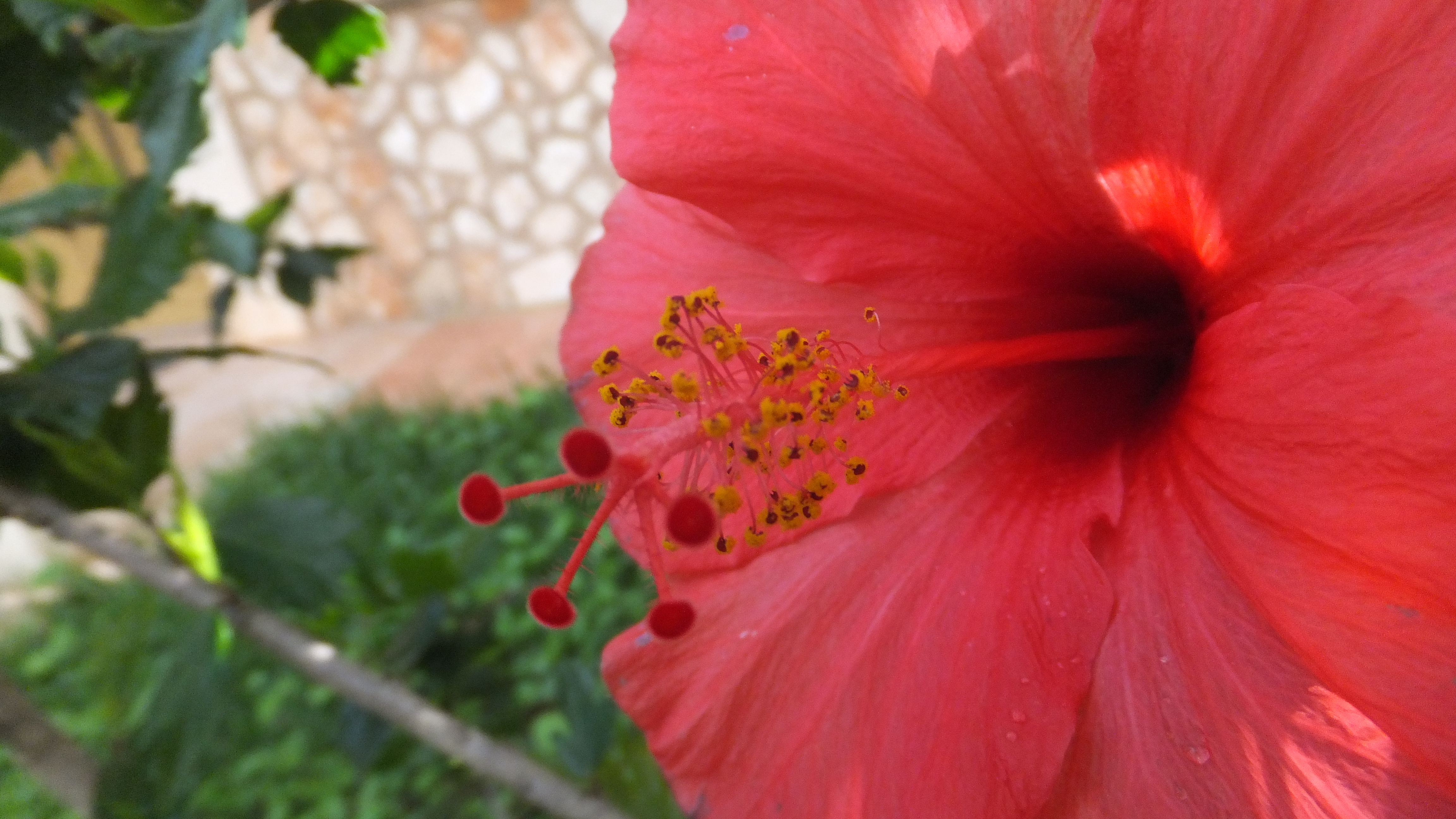 "Hoy es una nueva oportunidad." #CalaDor