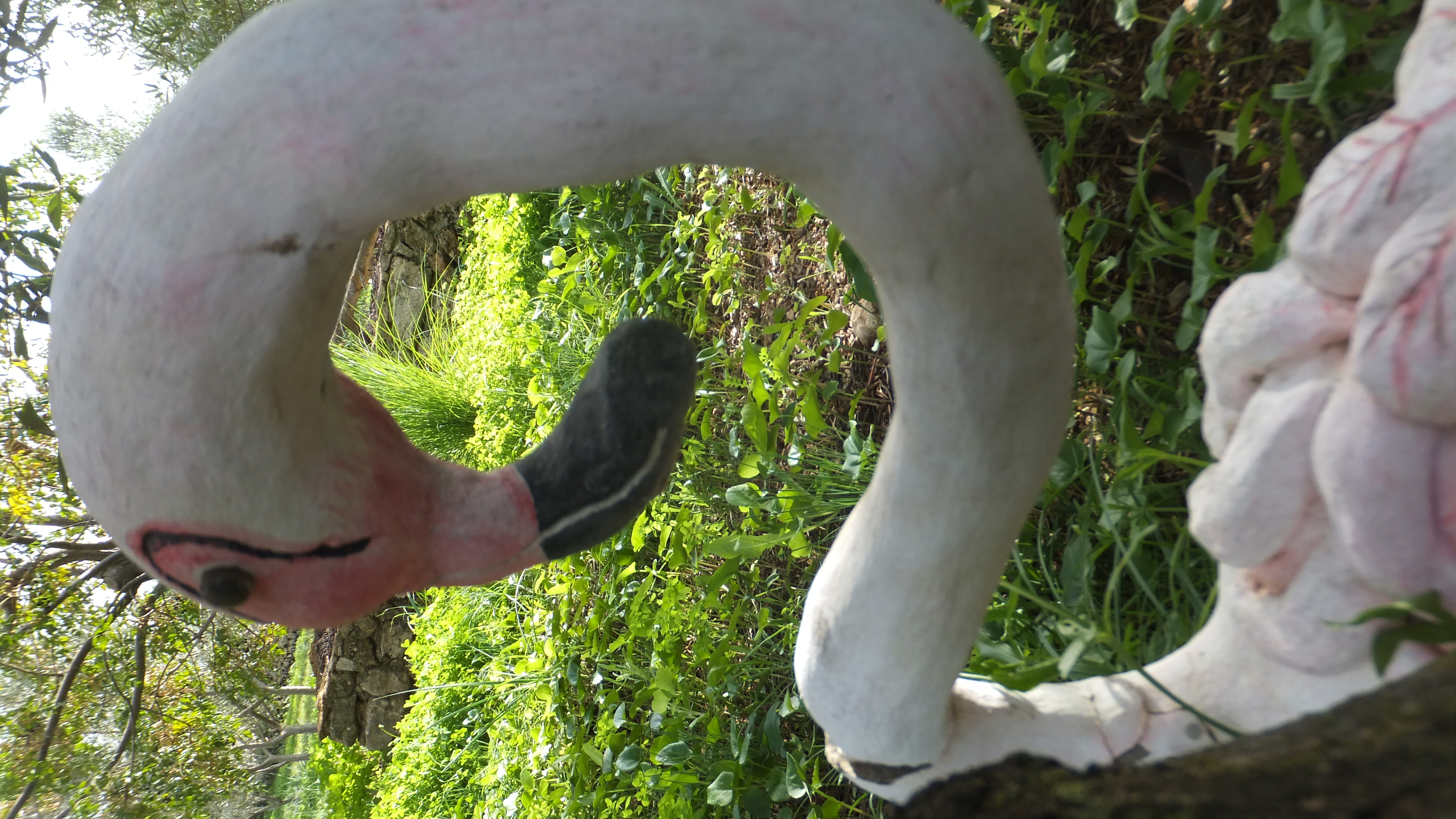 "Cada tarea que completas te acerca un poco más a tus metas". #Mallorca