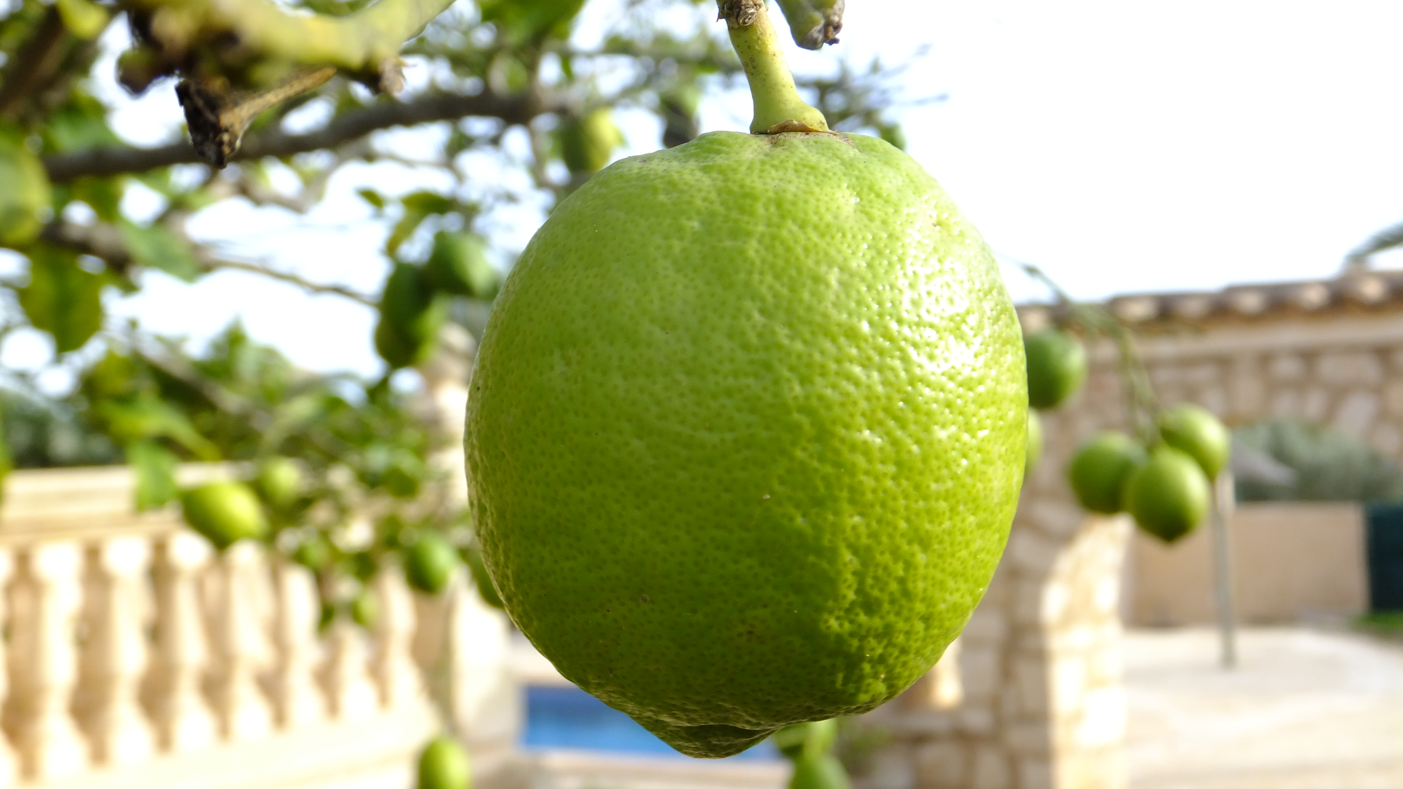 "Sonríe, es gratis." #Mallorca