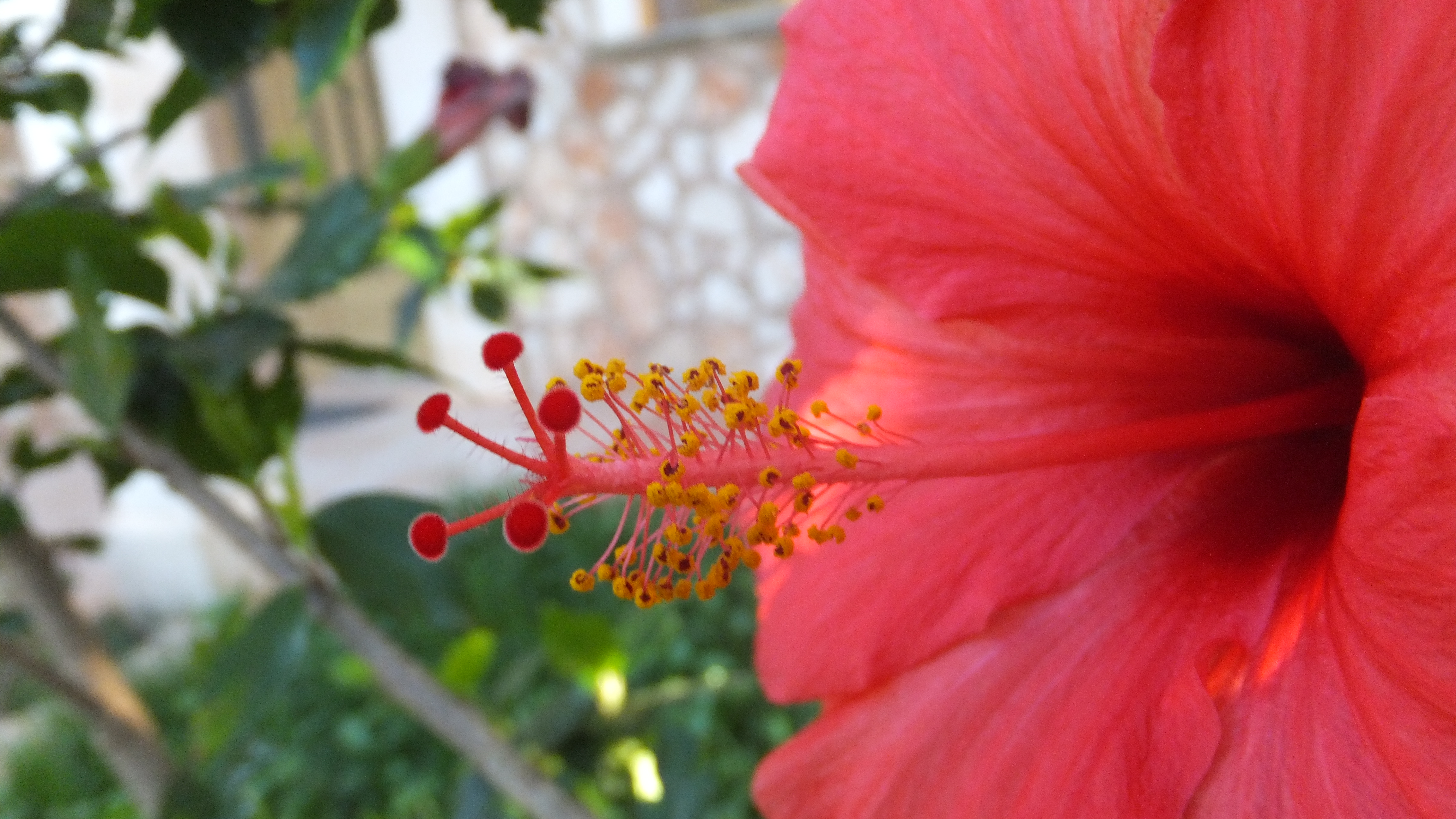 "La positividad atrae cosas buenas." #CalaDor