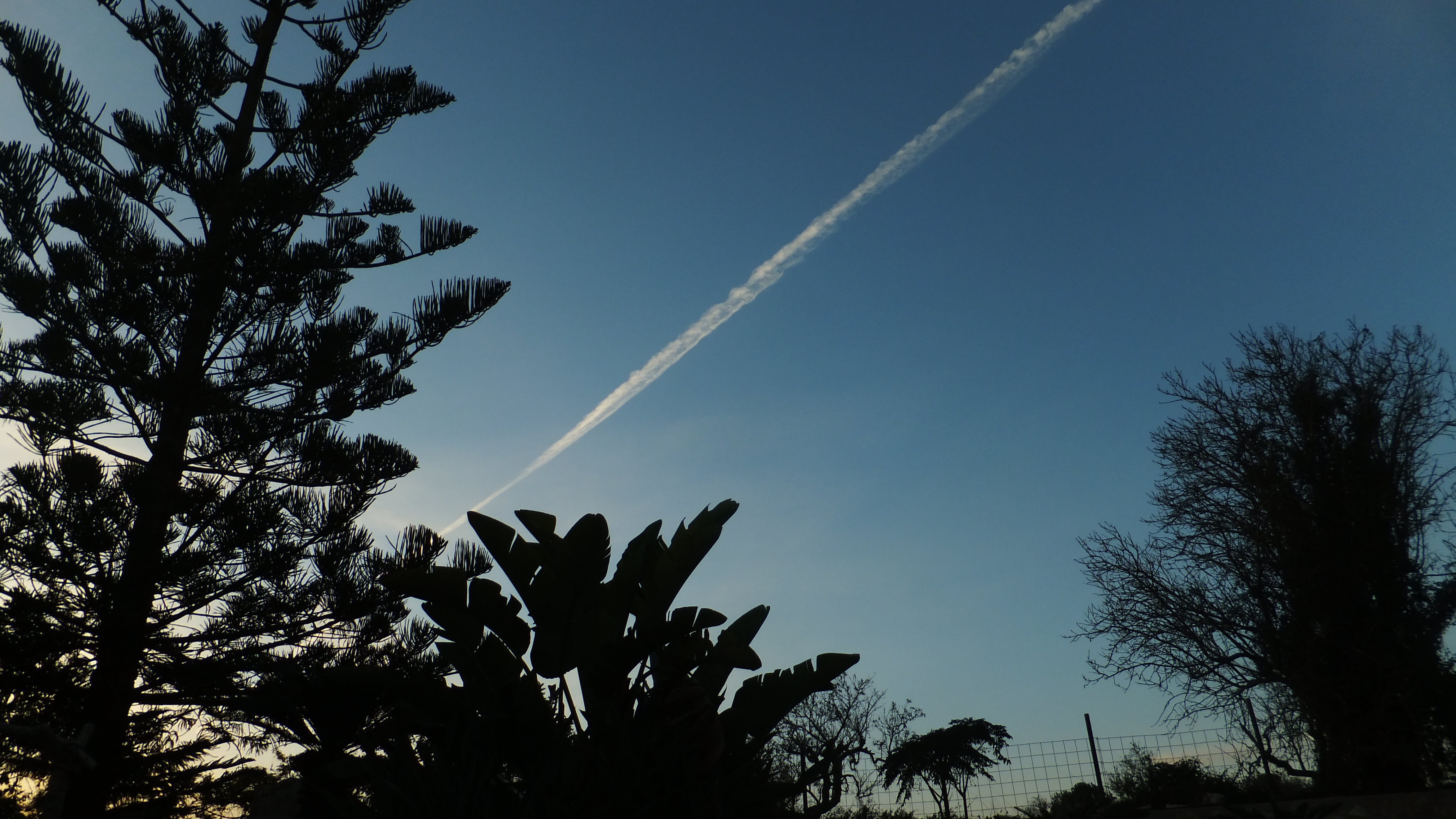 "Da lo mejor de ti, siempre." #CalaDor