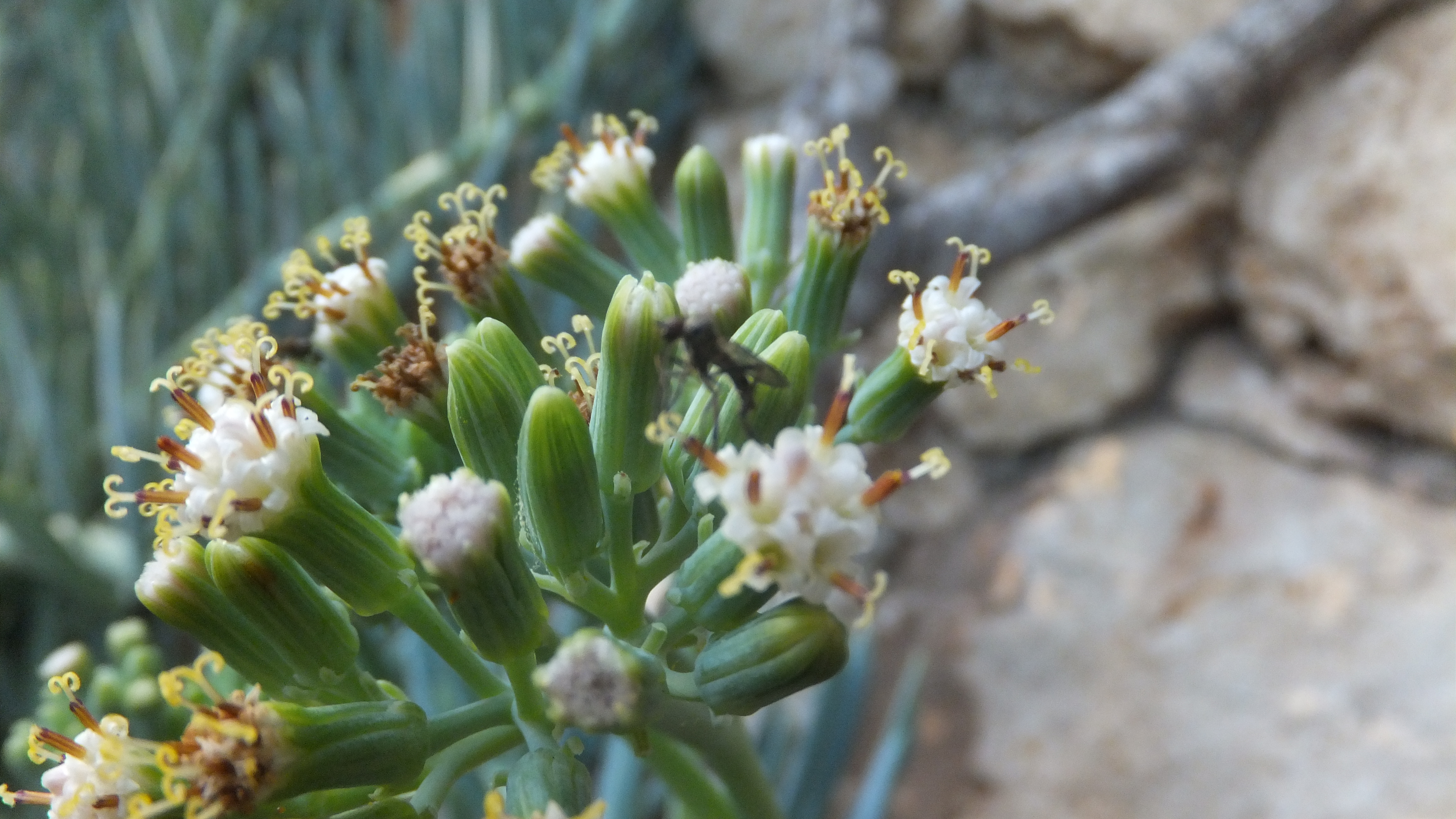 "La mejor manera de predecir el futuro es crearlo". #CaloEsMoro