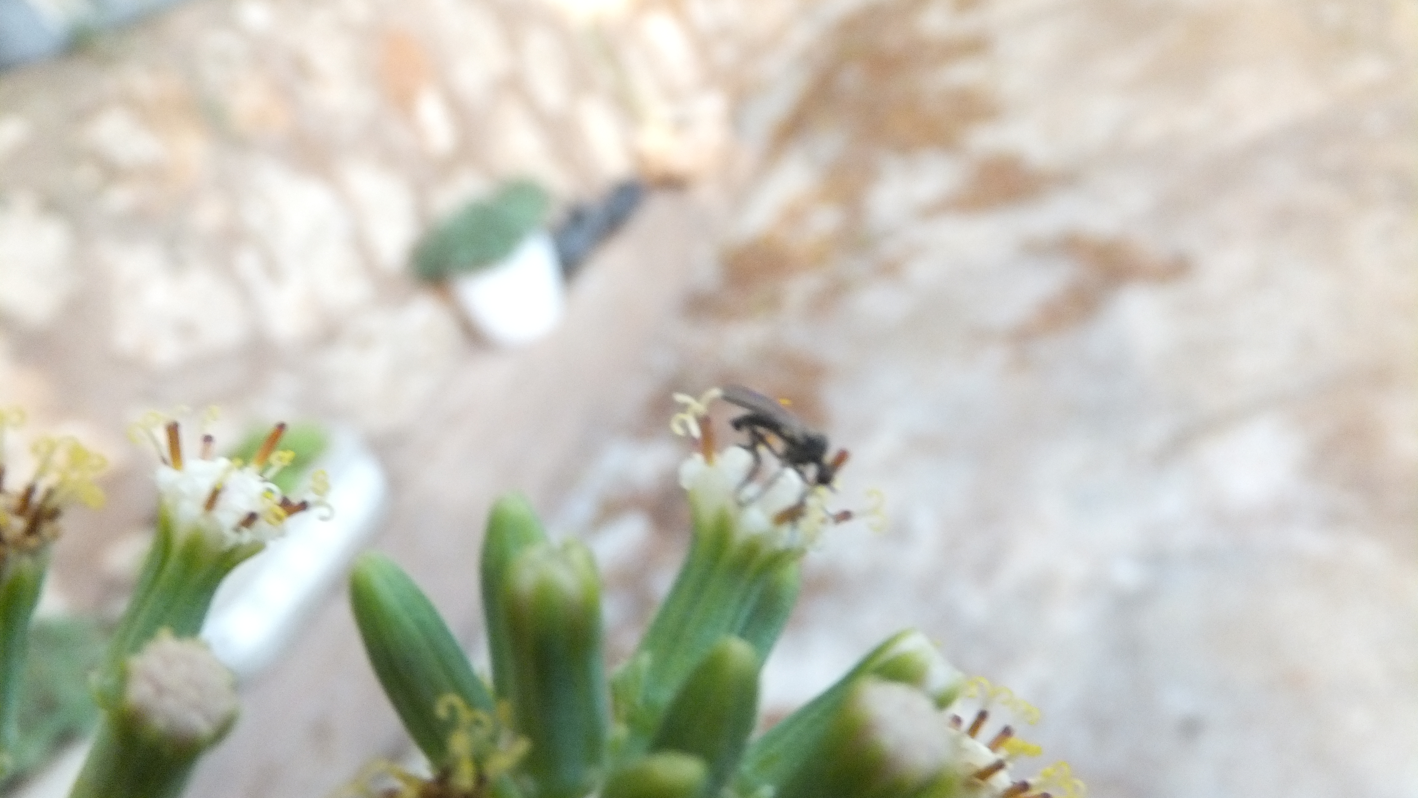 Frases sobre la felicidad y la superación: #Mallorca