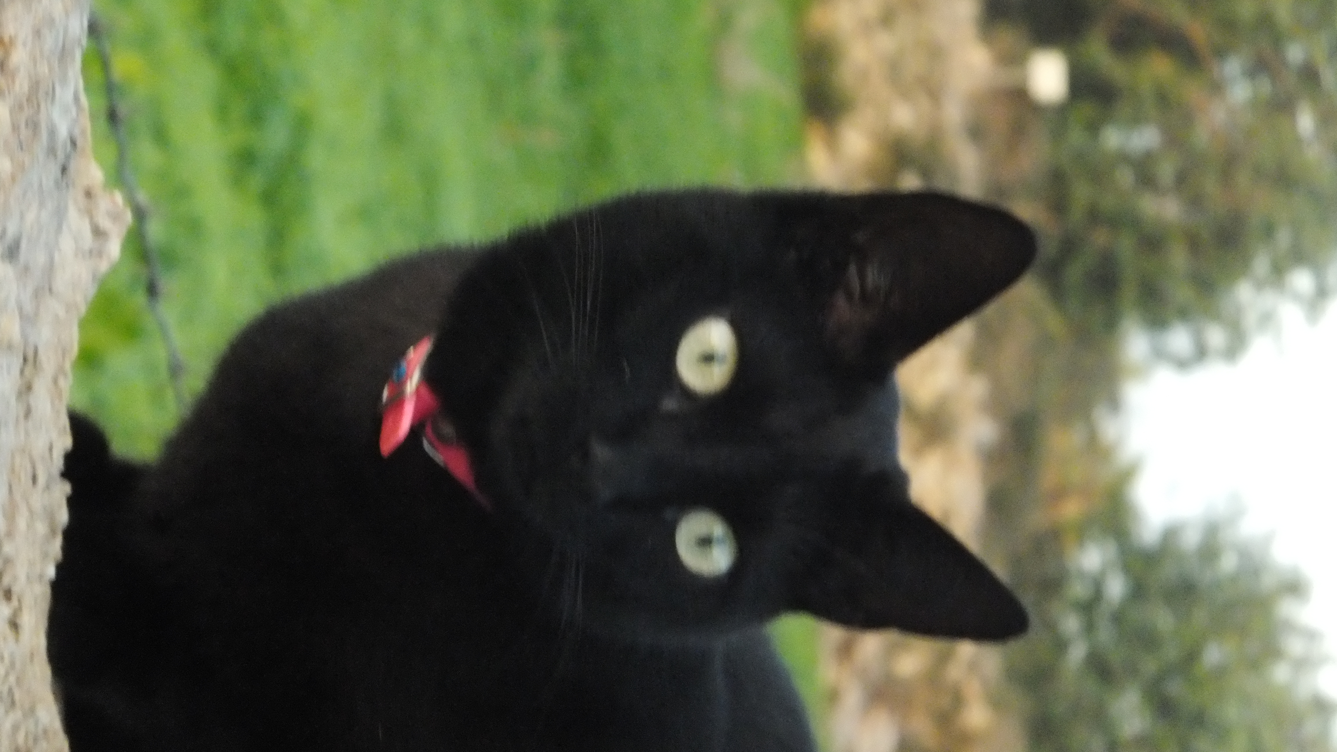 «Solo al arriesgarnos podemos hacer que nuestras vidas mejoren. El principal riesgo y el más difícil de asumir es ser honestos». — Walter Anderson #Santanyi