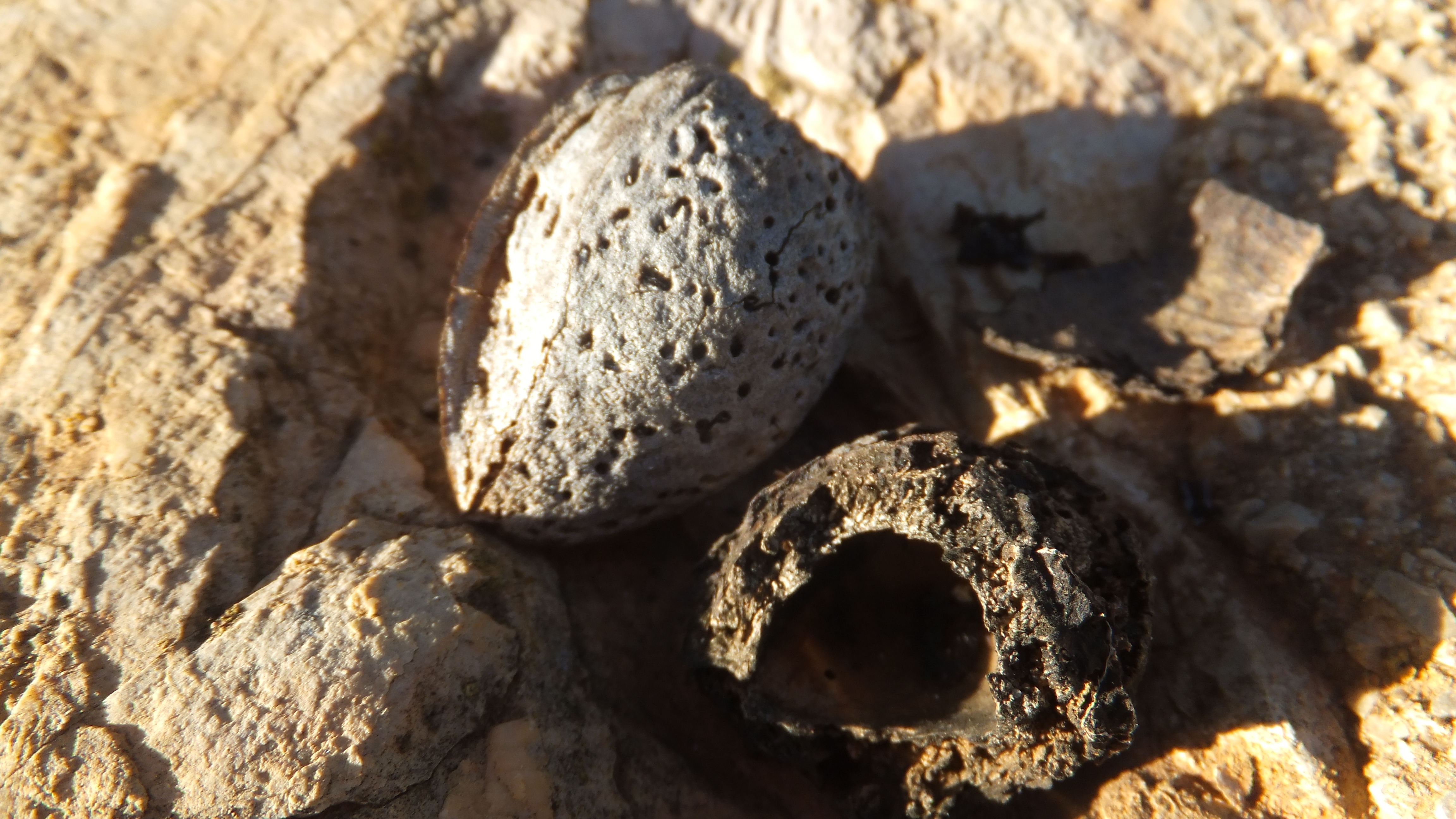 "Lo que haces hoy define el éxito que tendrás mañana", QuillBot #CalaSantanyi