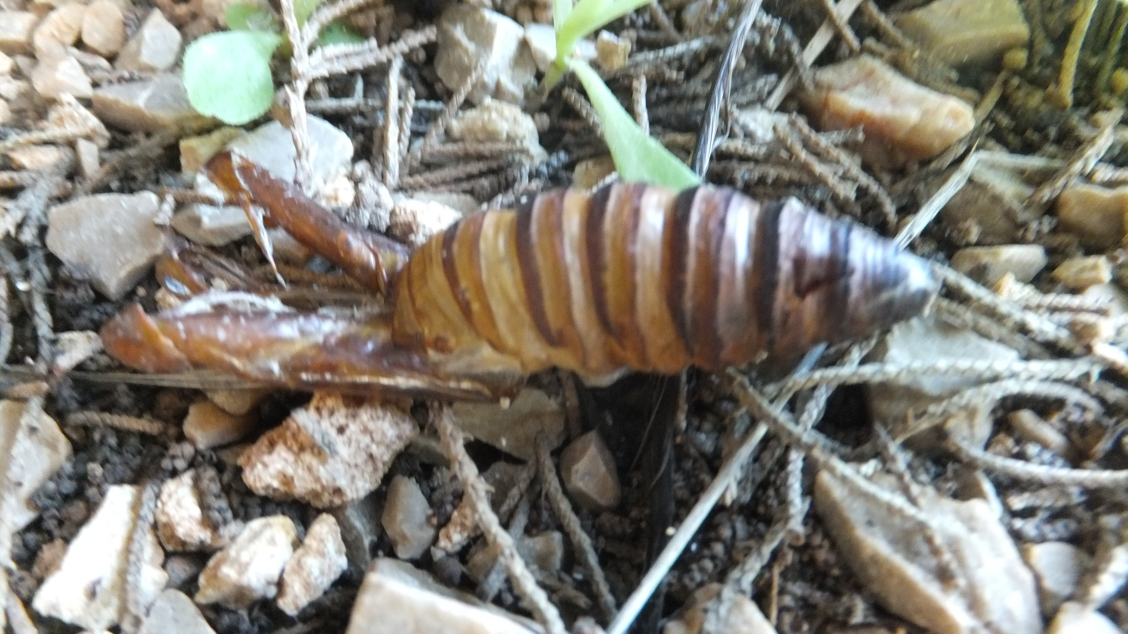 "La felicidad está en las pequeñas cosas." #Mallorca