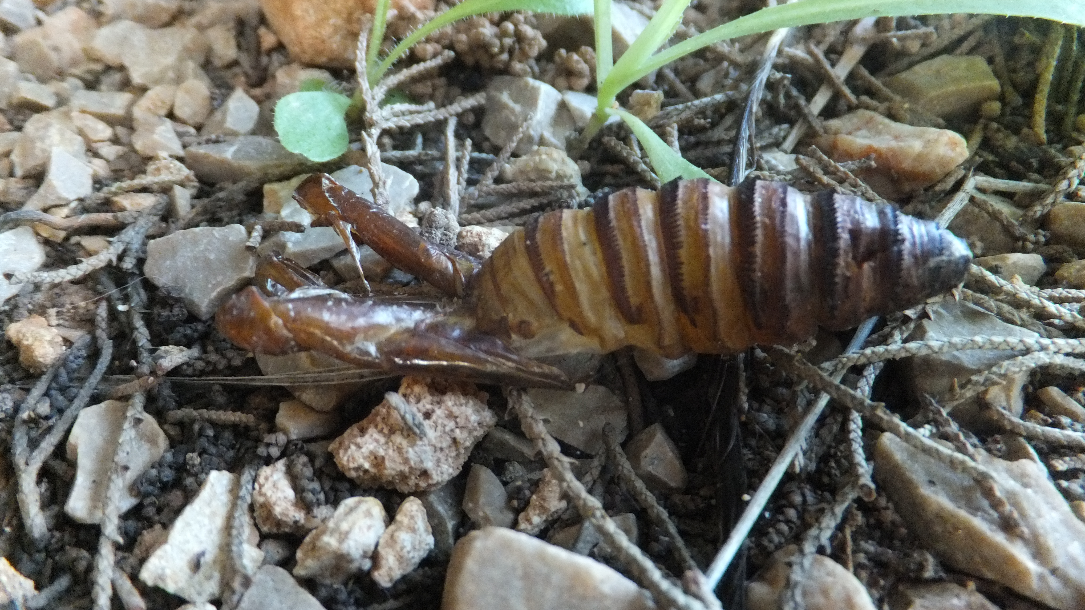 "El esfuerzo de hoy es la base del éxito de mañana". #CalaSantanyi