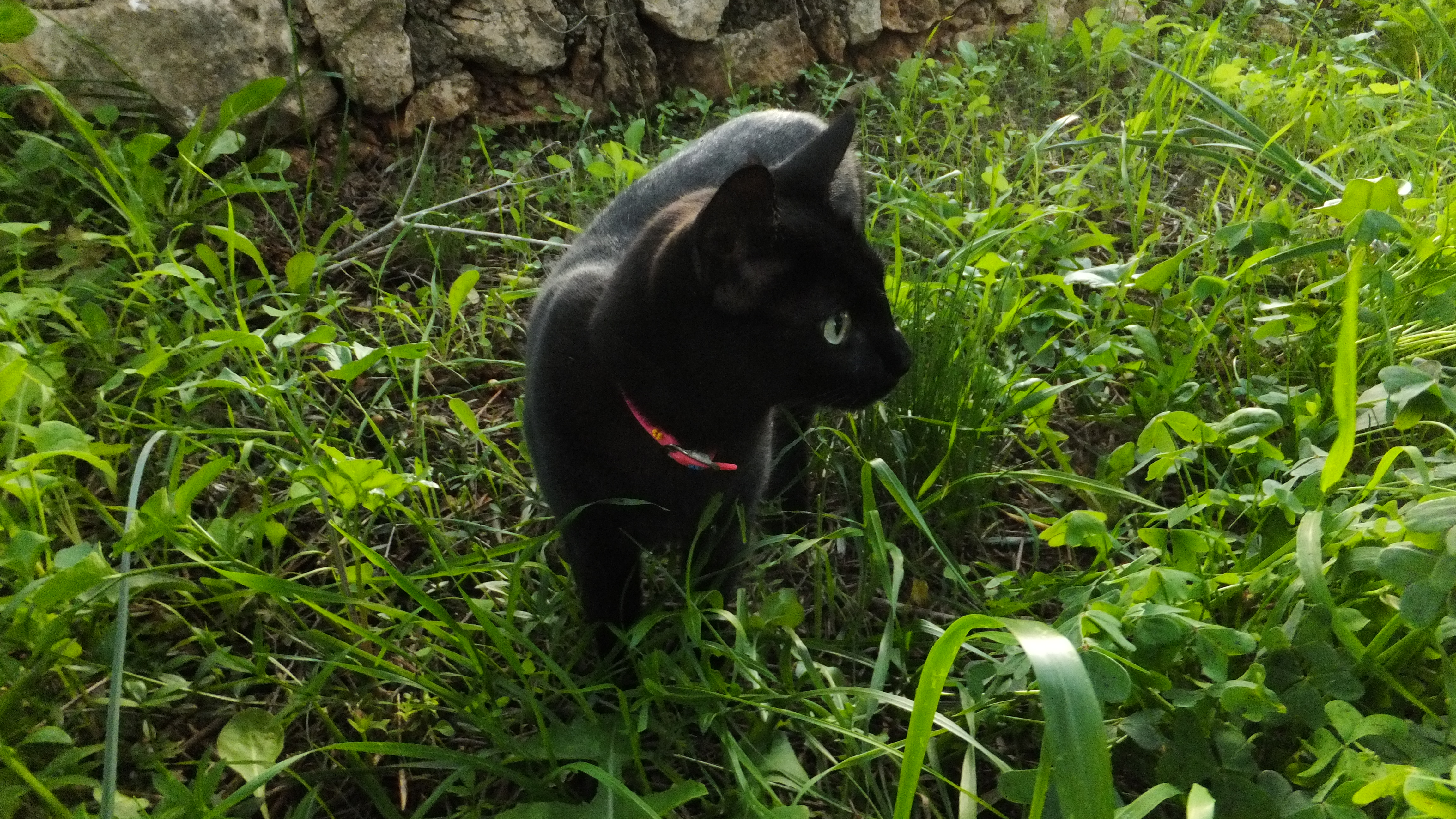 «Solo al arriesgarnos podemos hacer que nuestras vidas mejoren. El principal riesgo y el más difícil de asumir es ser honestos». — Walter Anderson #Mallorca