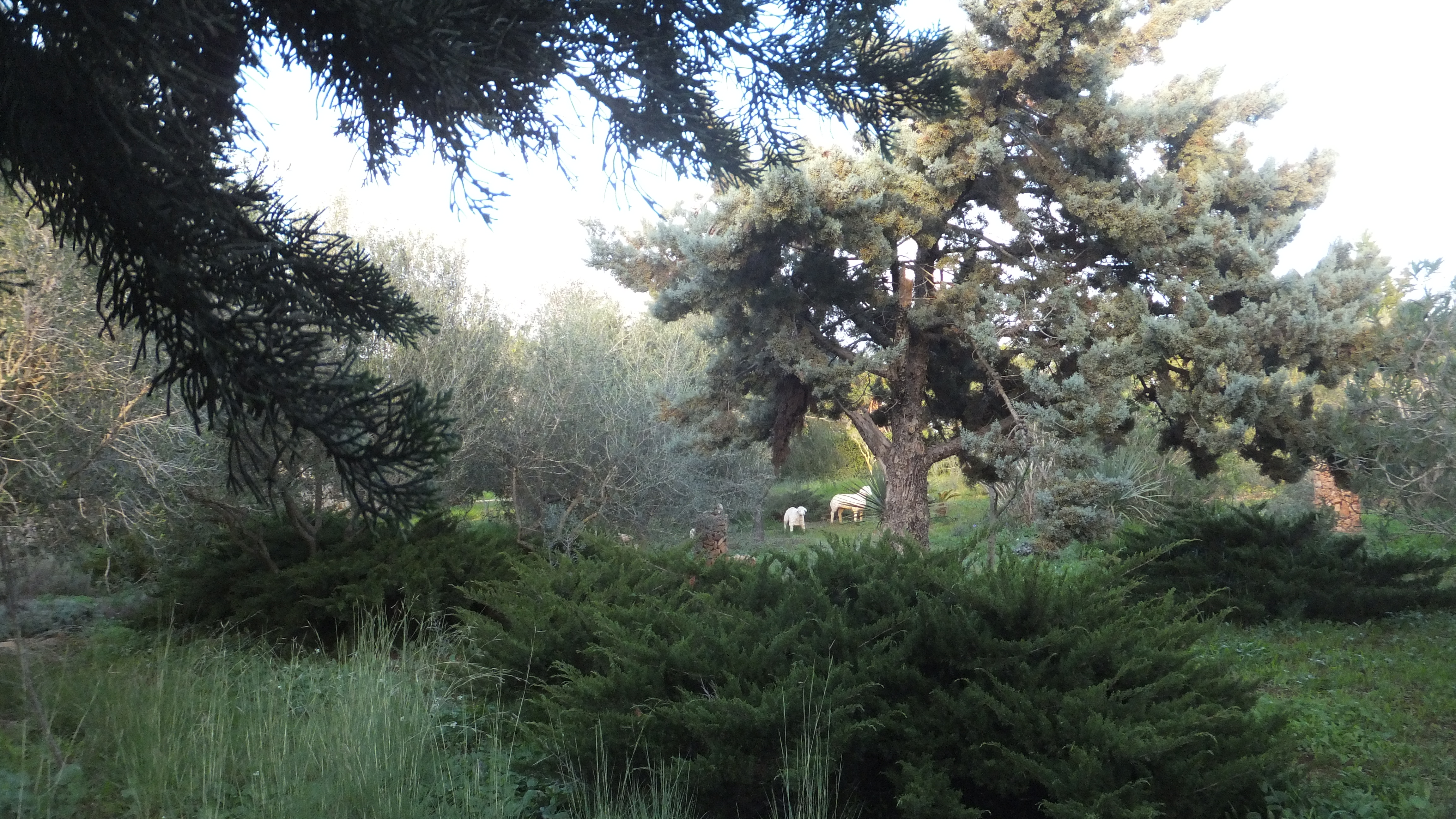 "La felicidad está hecha de pequeños momentos." #Santanyi