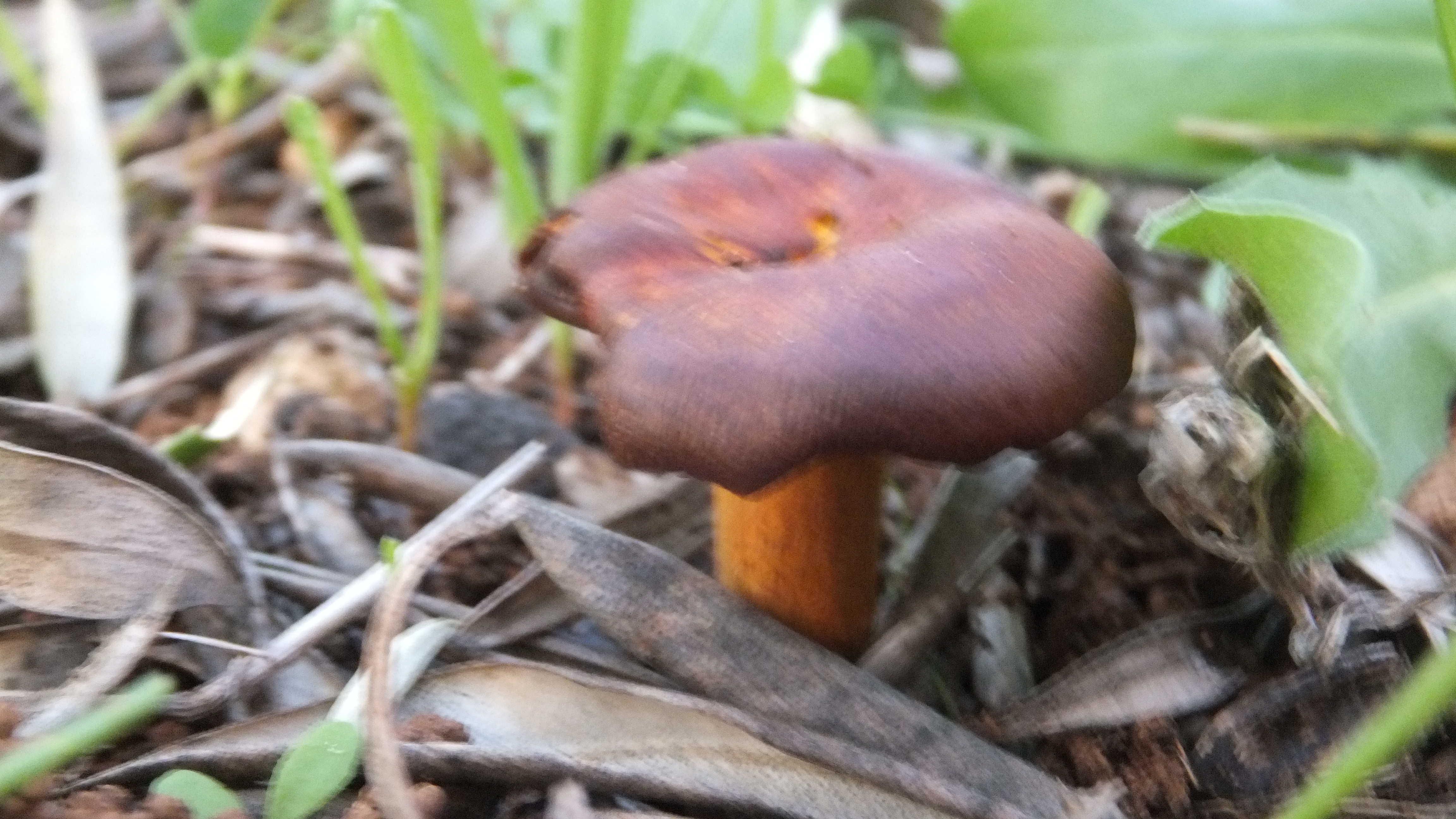 "La positividad atrae cosas buenas." #Mallorca