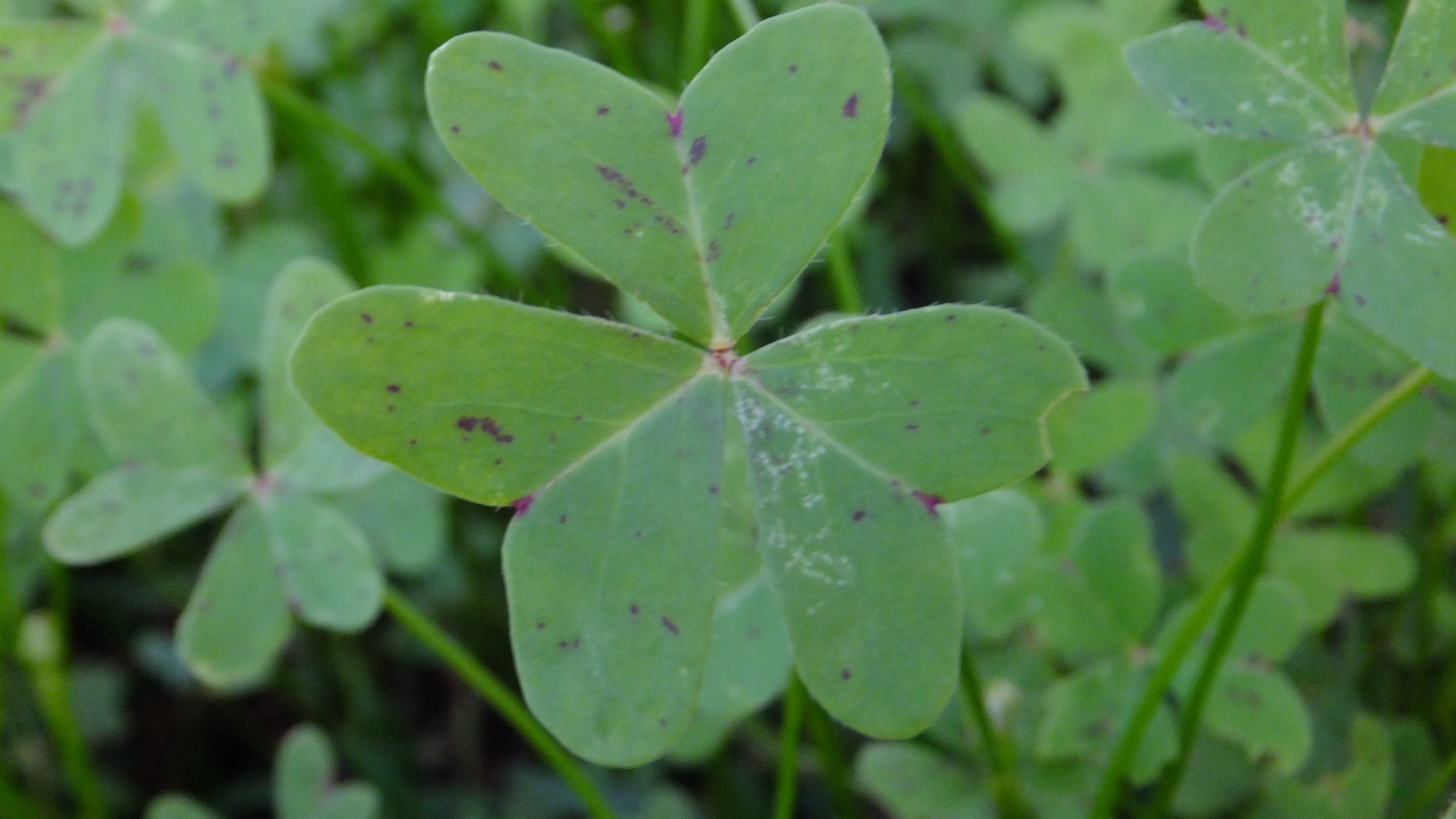 "No esperes a que todo sea perfecto. Empieza ahora y hazlo posible." #CaloEsMoro