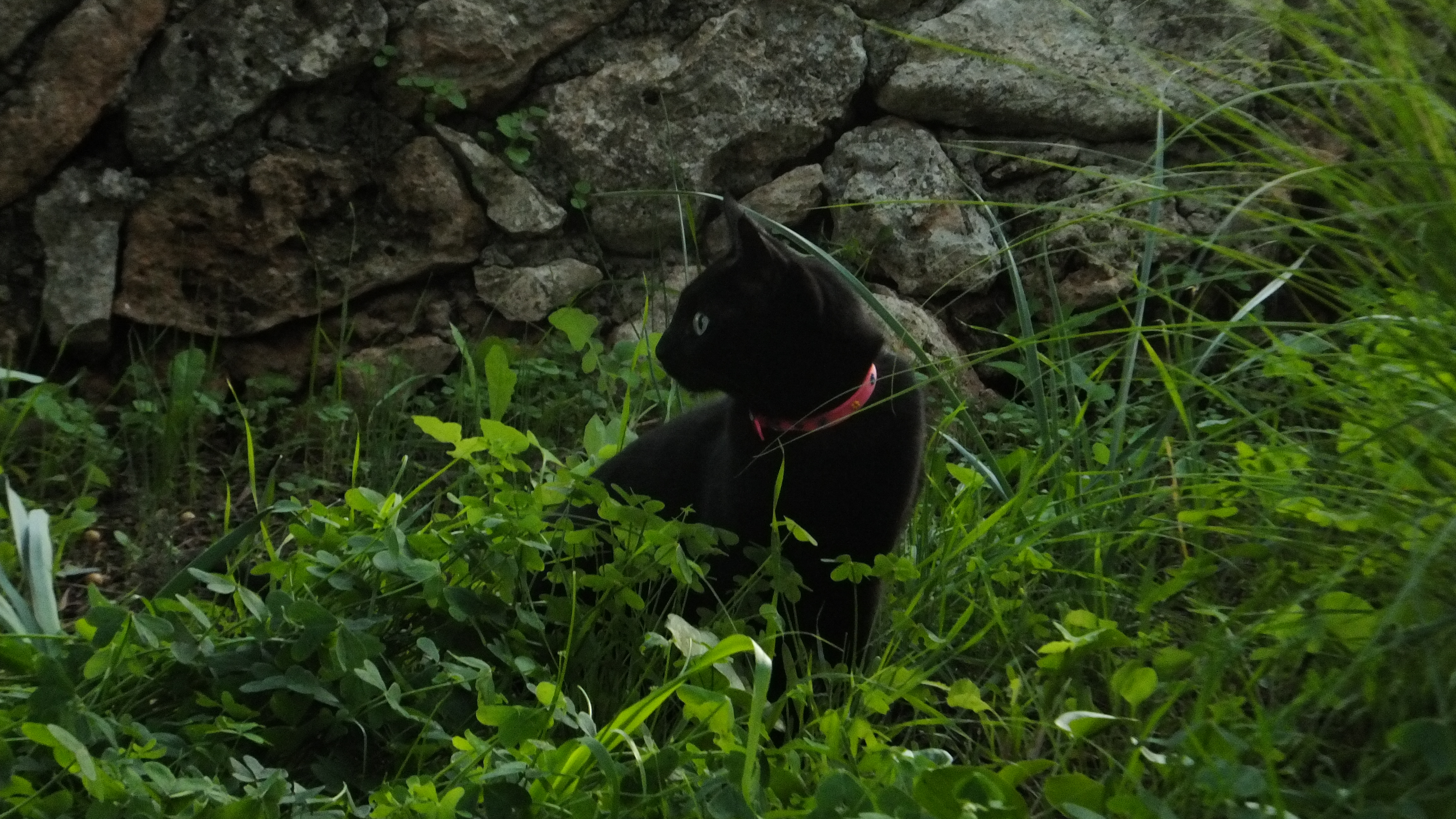 "Cada tarea que completas te acerca un poco más a tus metas". #Mallorca