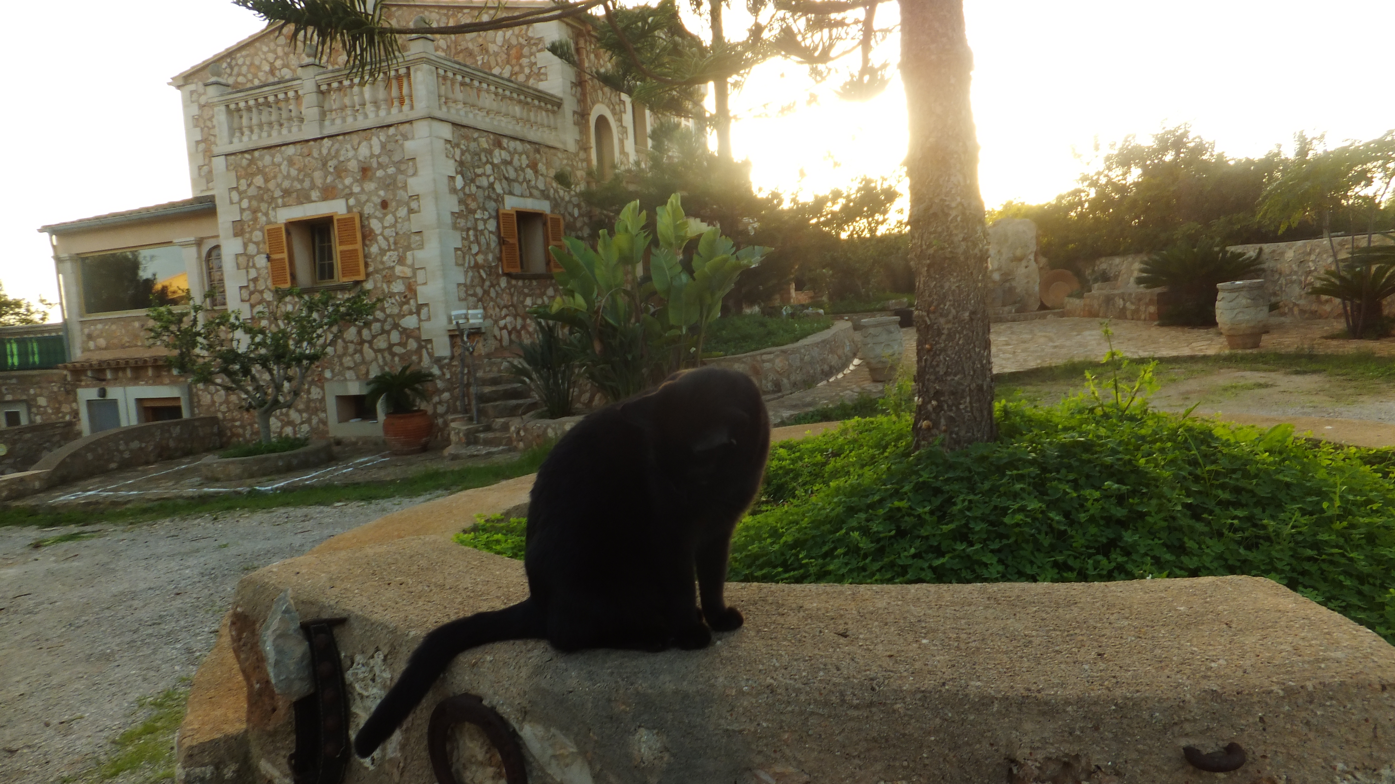 "Cada día es una nueva oportunidad para mejorar y crecer." #CaloEsMoro