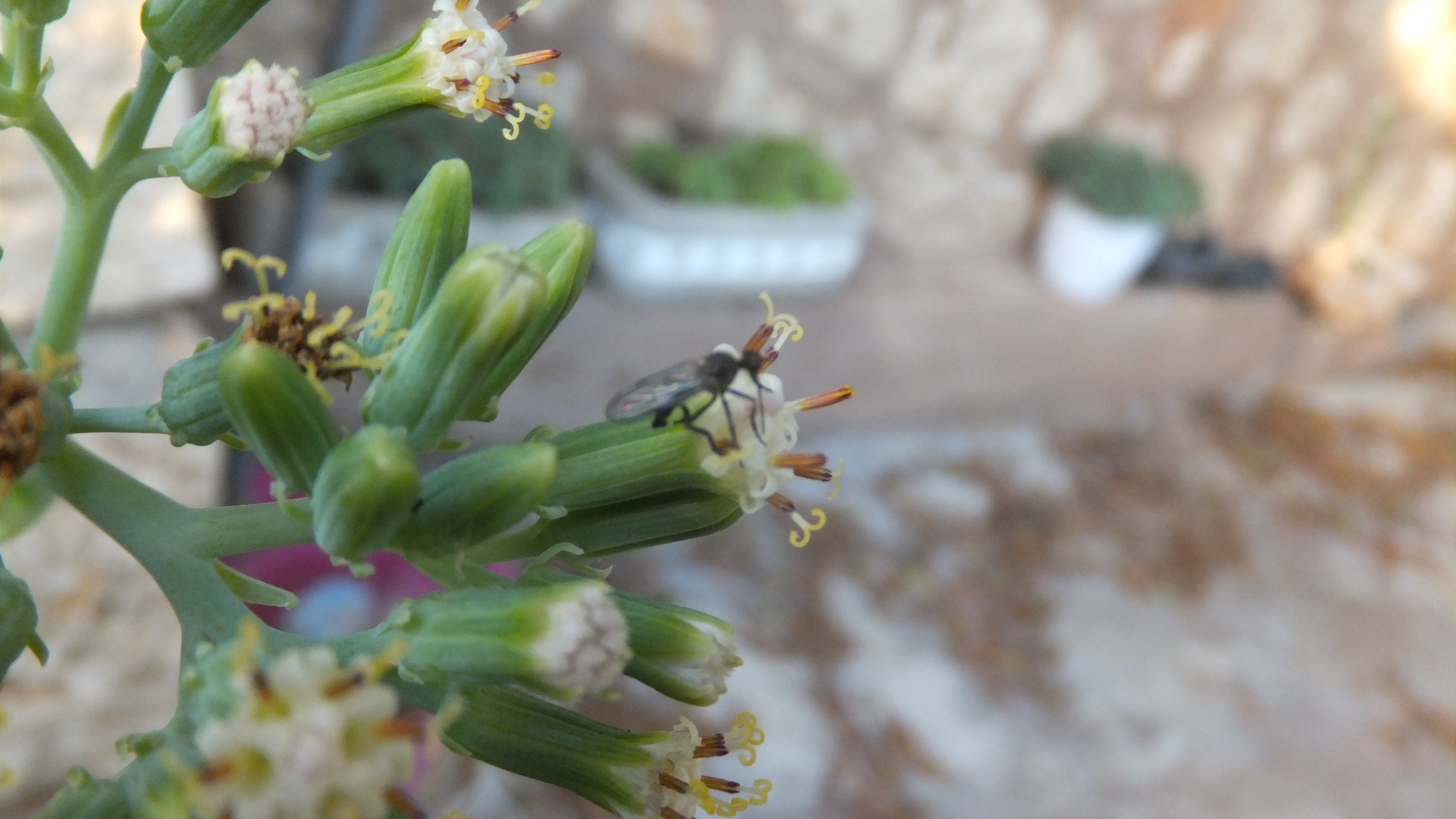 "La mejor manera de predecir el futuro es crearlo". #CalaFigera