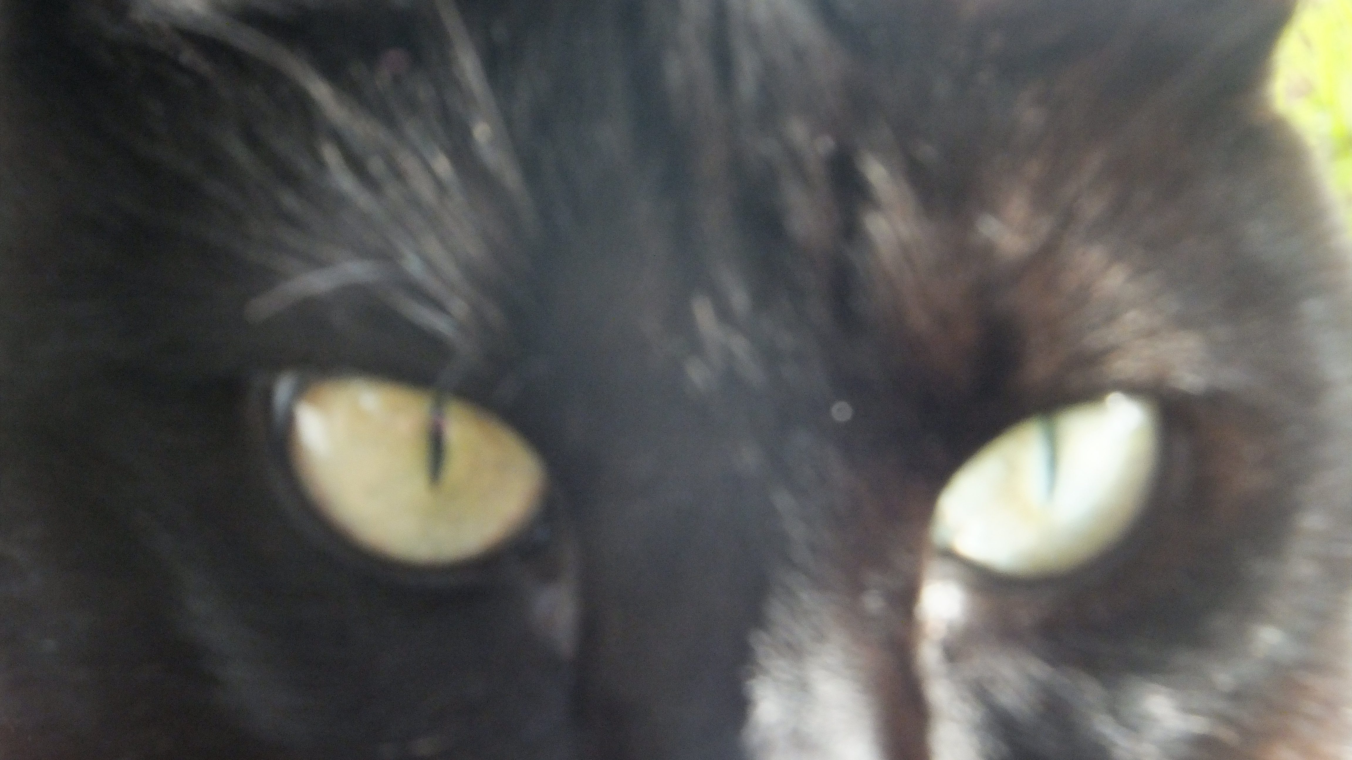 Frases cortas y motivadoras: #Mallorca